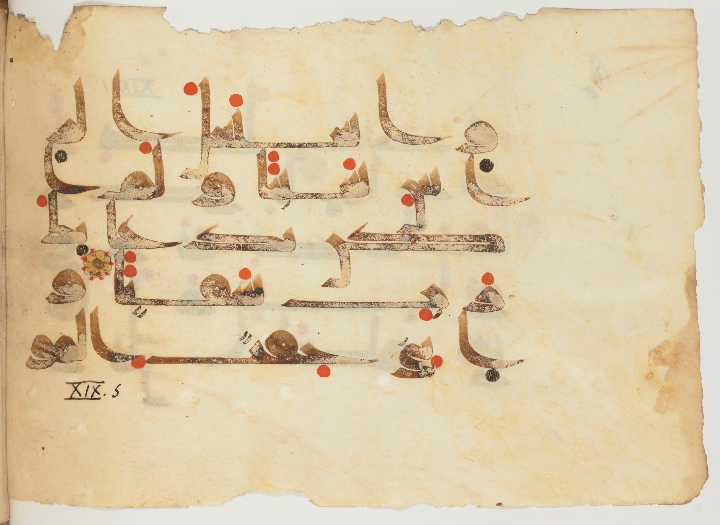 Paris, Bibliothèque nationale de France, Arabe 356 (a) (Scan 2), in kūfī D.III script, showing Surah 19:4 from Mid 8th to Late 10th Century AD found in al-Fusṭāṭ (Fustat), Egypt, currently housed at Bibliothèque nationale de France, Paris