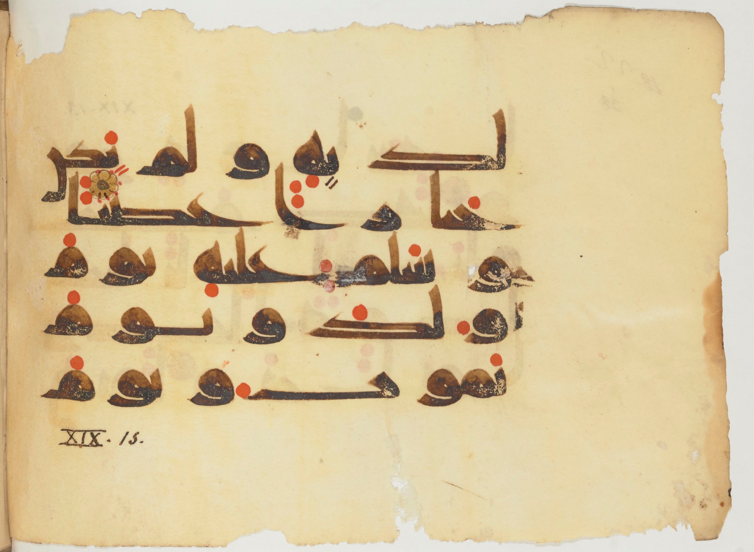 Paris, Bibliothèque nationale de France, Arabe 356 (a) (Scan 2), in kūfī D.III script, showing Surah 19:14 from Mid 8th to Late 10th Century AD found in al-Fusṭāṭ (Fustat), Egypt, currently housed at Bibliothèque nationale de France, Paris