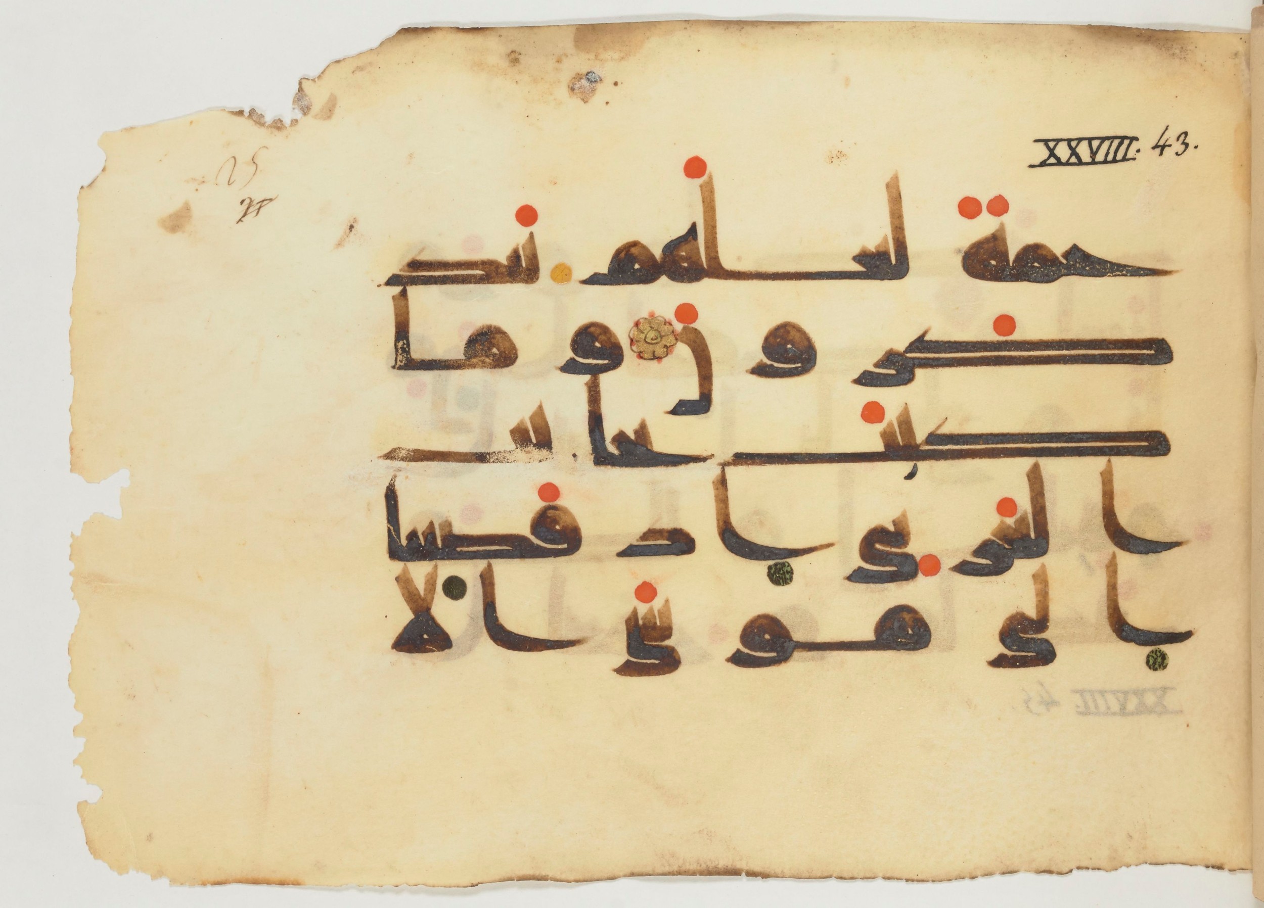 Paris, Bibliothèque nationale de France, Arabe 356 (a) (Scan 1), in kūfī D.III script, showing Surah 28:44 from Mid 8th to Late 10th Century AD found in al-Fusṭāṭ (Fustat), Egypt, currently housed at Bibliothèque nationale de France, Paris