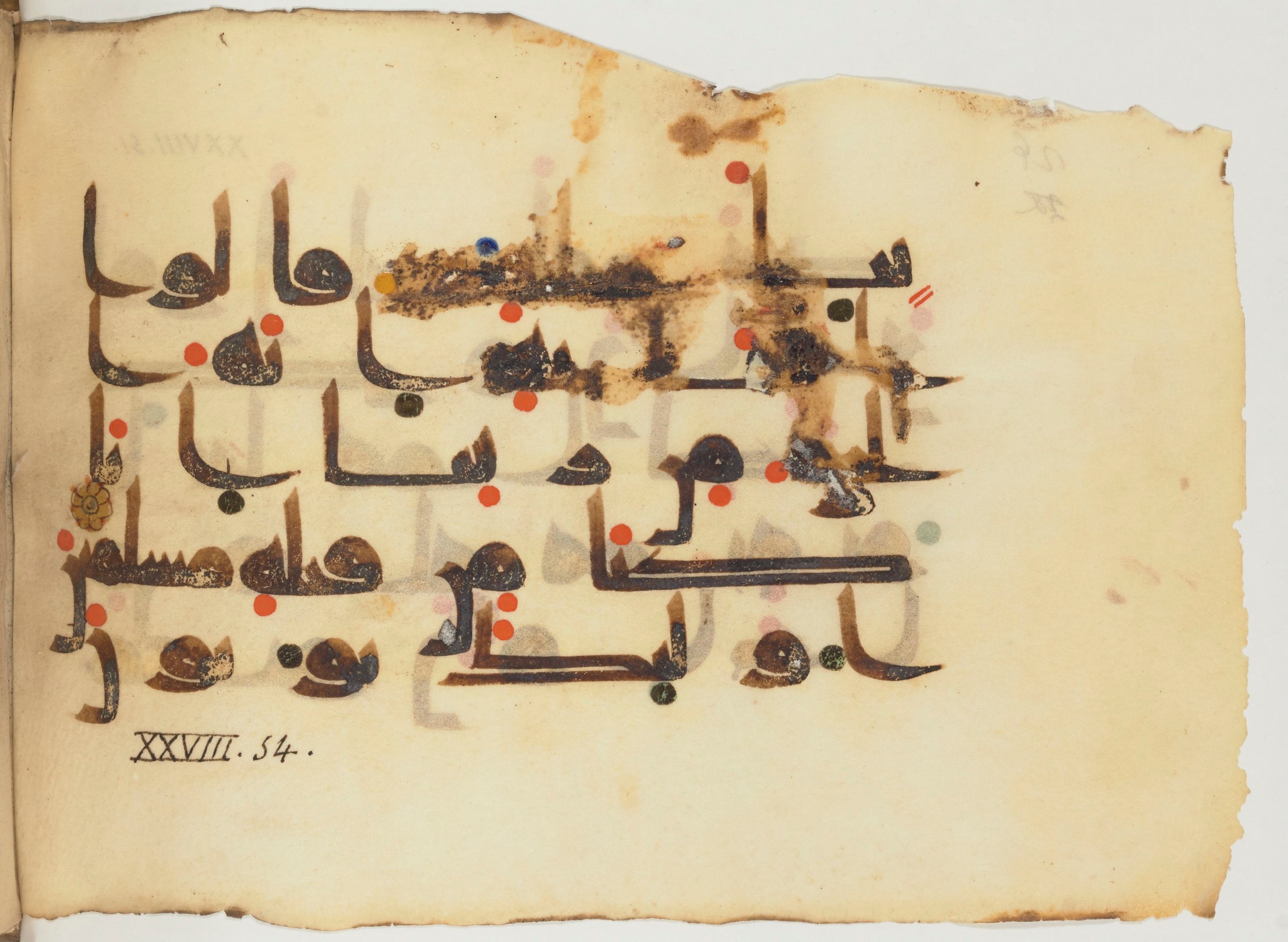Paris, Bibliothèque nationale de France, Arabe 356 (a) (Scan 2), in kūfī D.III script, showing Surah 28:53 from Mid 8th to Late 10th Century AD found in al-Fusṭāṭ (Fustat), Egypt, currently housed at Bibliothèque nationale de France, Paris