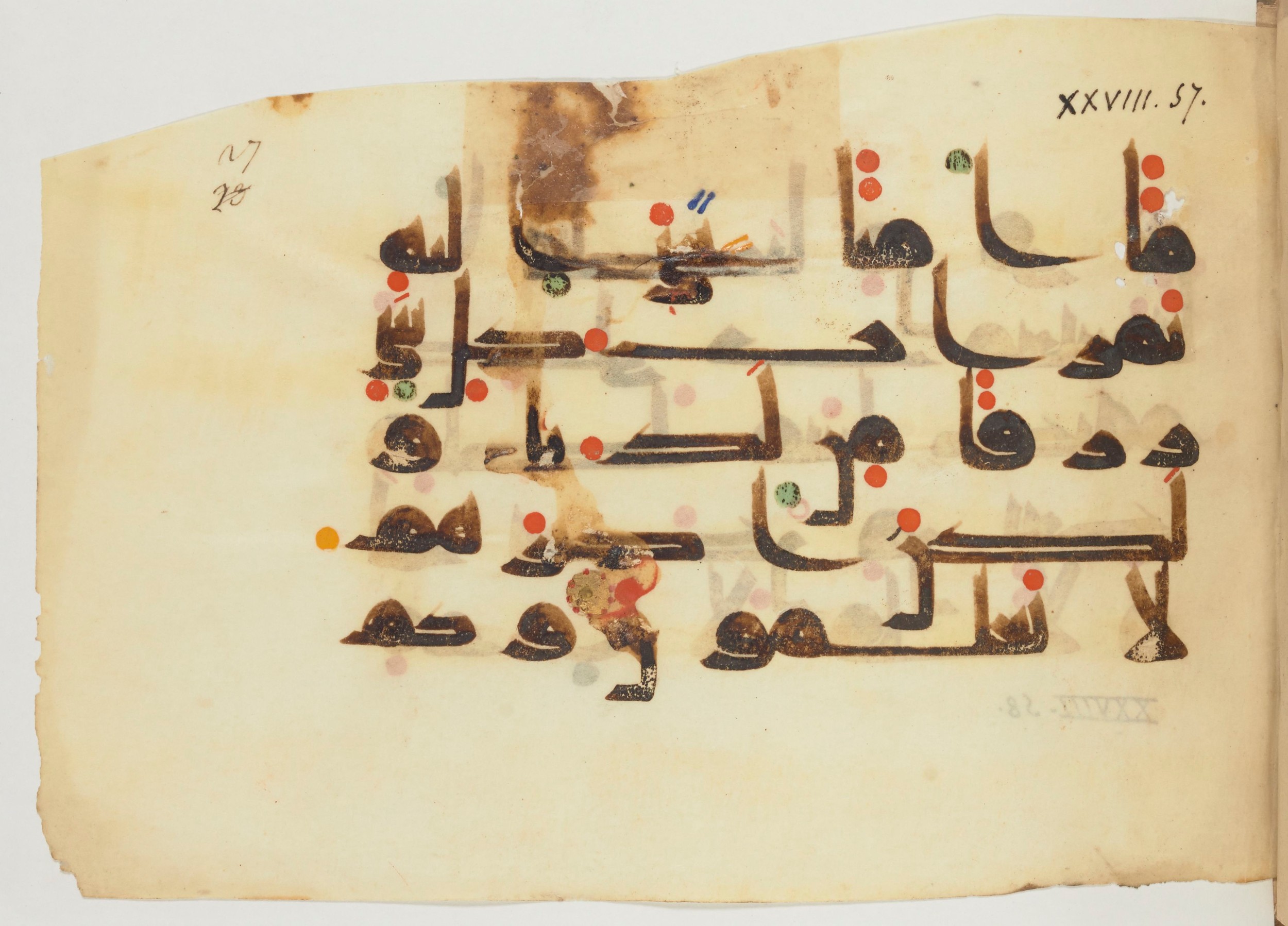 Paris, Bibliothèque nationale de France, Arabe 356 (a) (Scan 1), in kūfī D.III script, showing Surah 28:58 from Mid 8th to Late 10th Century AD found in al-Fusṭāṭ (Fustat), Egypt, currently housed at Bibliothèque nationale de France, Paris