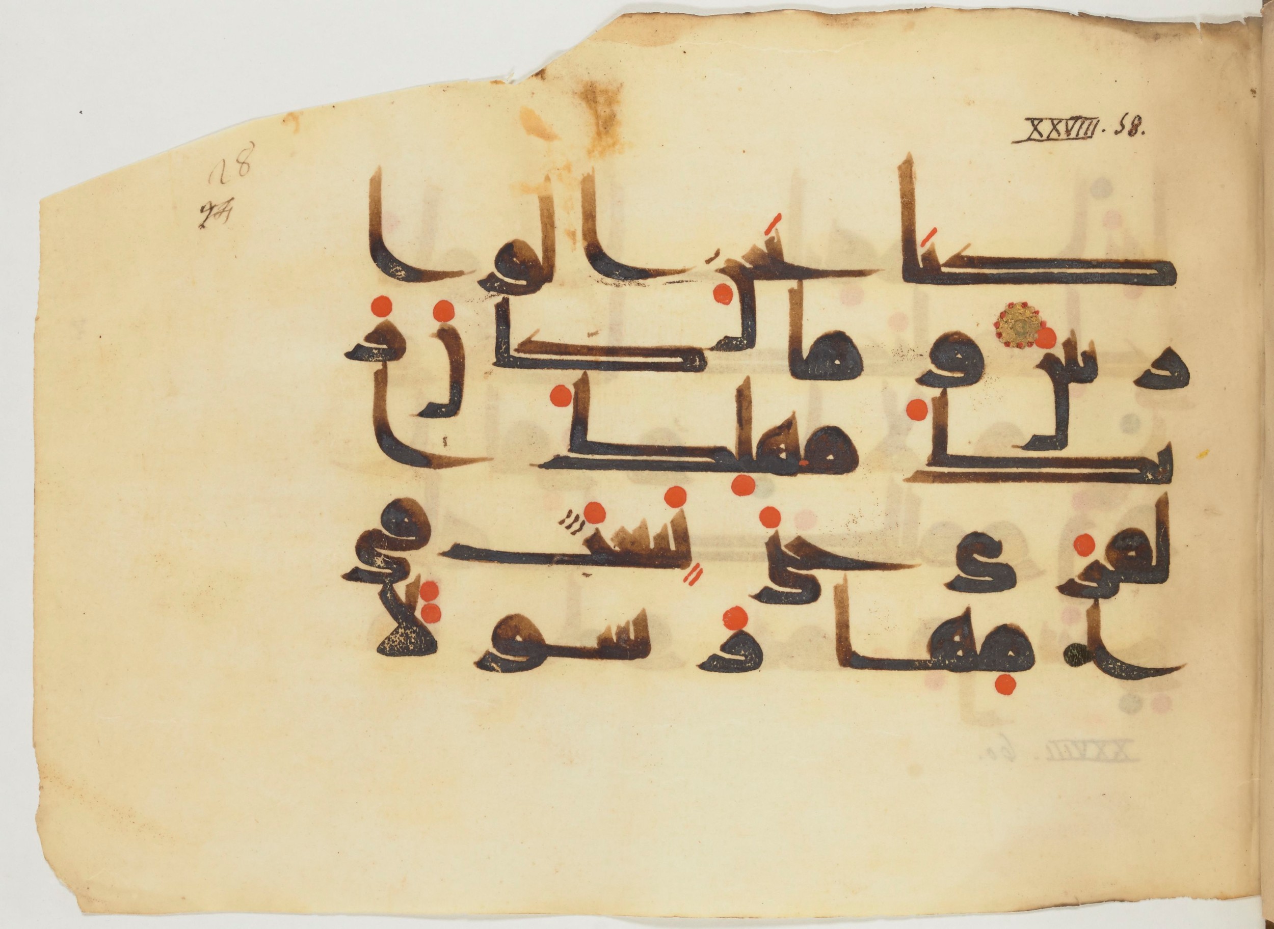 Paris, Bibliothèque nationale de France, Arabe 356 (a) (Scan 1), in kūfī D.III script, showing Surah 28:59 from Mid 8th to Late 10th Century AD found in al-Fusṭāṭ (Fustat), Egypt, currently housed at Bibliothèque nationale de France, Paris