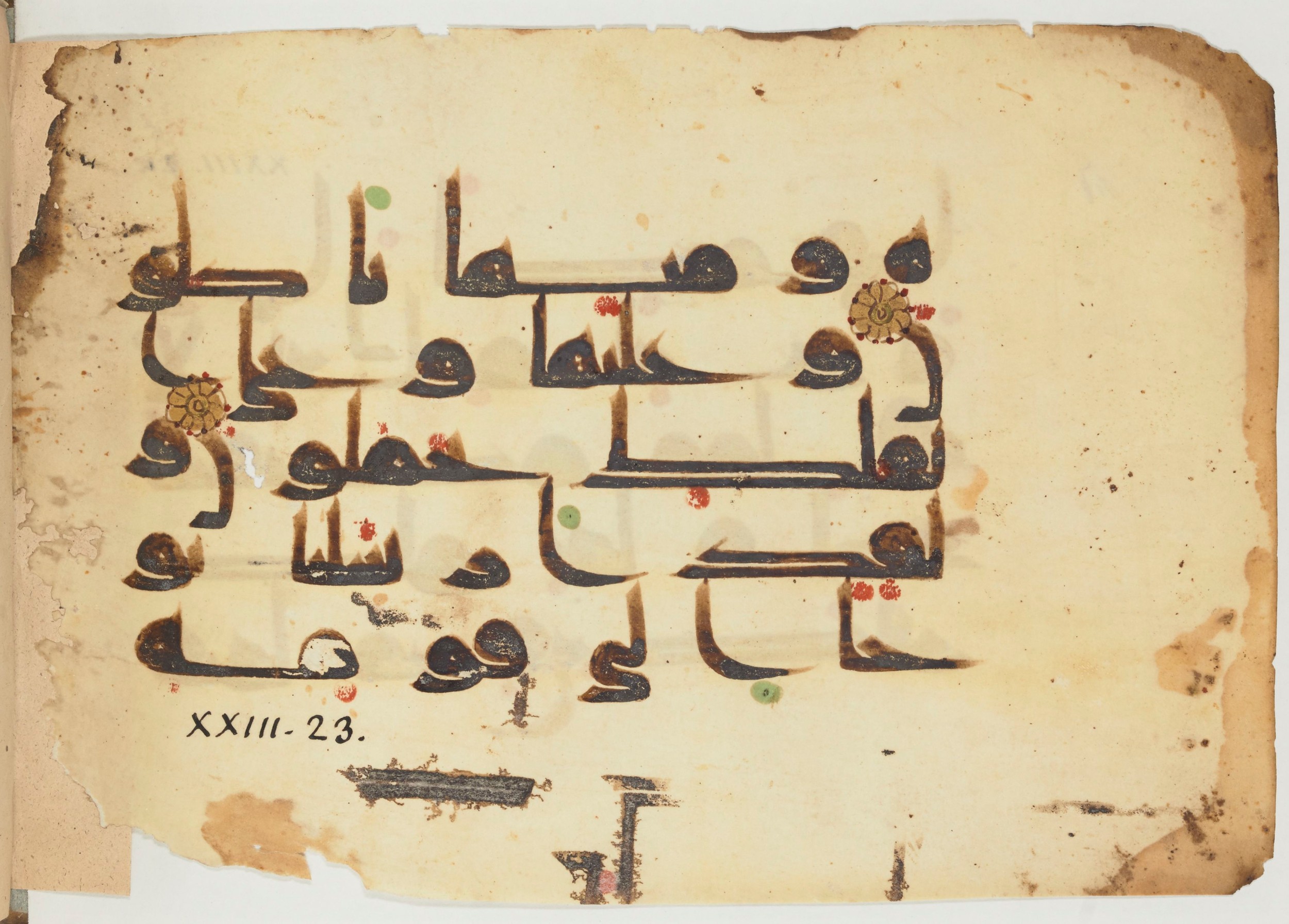 Arabe 356 (b) (Scan 2), in Kufic D.III script, showing Surah 23:21 from Mid 8th to Late 10th Century AD found in al-Fusṭāṭ, Egypt, currently housed at Bibliothèque nationale de France, Paris