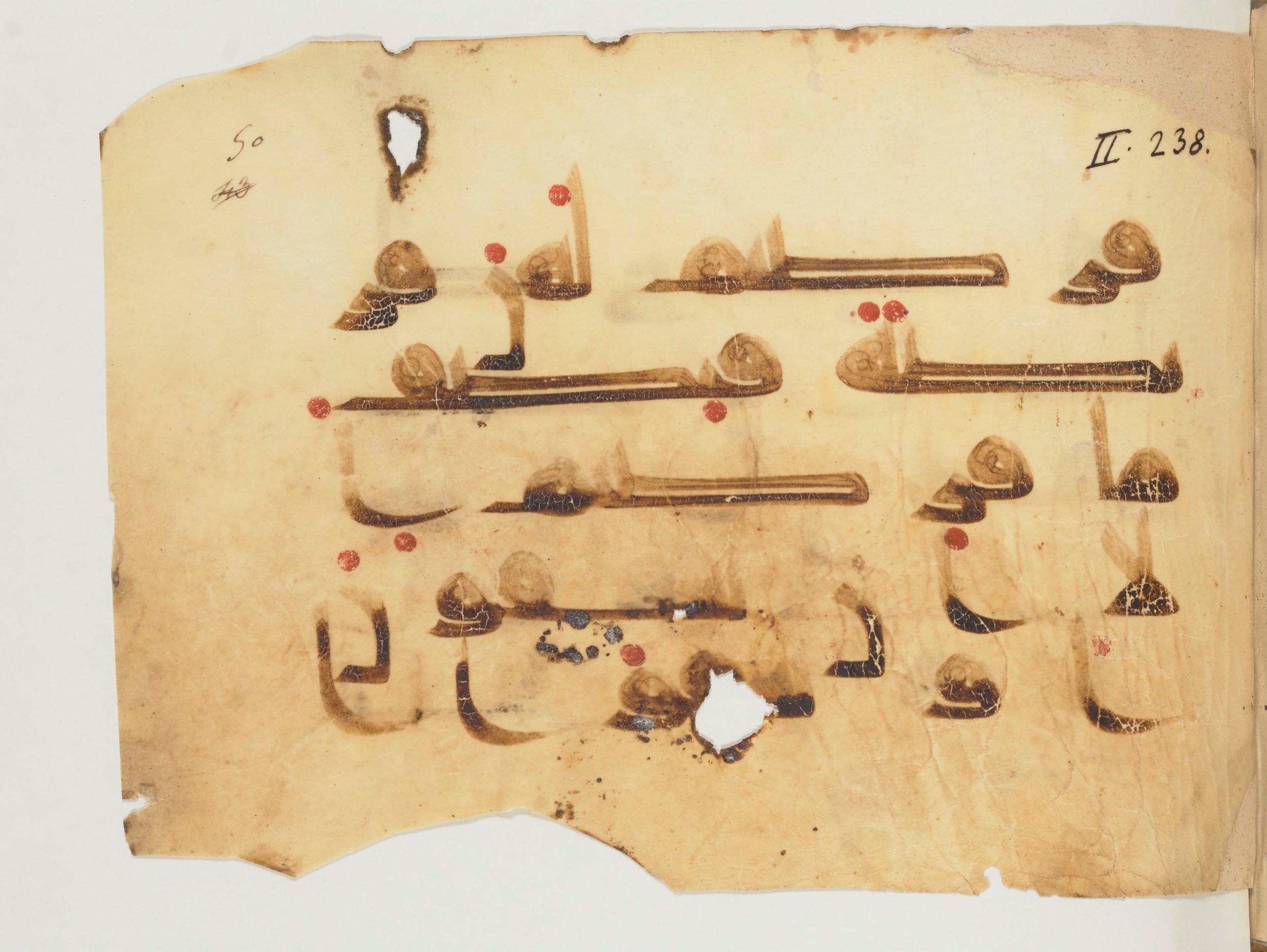 Paris, Bibliothèque nationale de France, Arabe 356 (d) (Scan 1), in Kūfī D.I / D.III script, showing Surah 2:237 from Mid 8th to Late 10th Century AD found in al-Fusṭāṭ (Old Cairo), Egypt, currently housed at Bibliothèque nationale de France, Paris