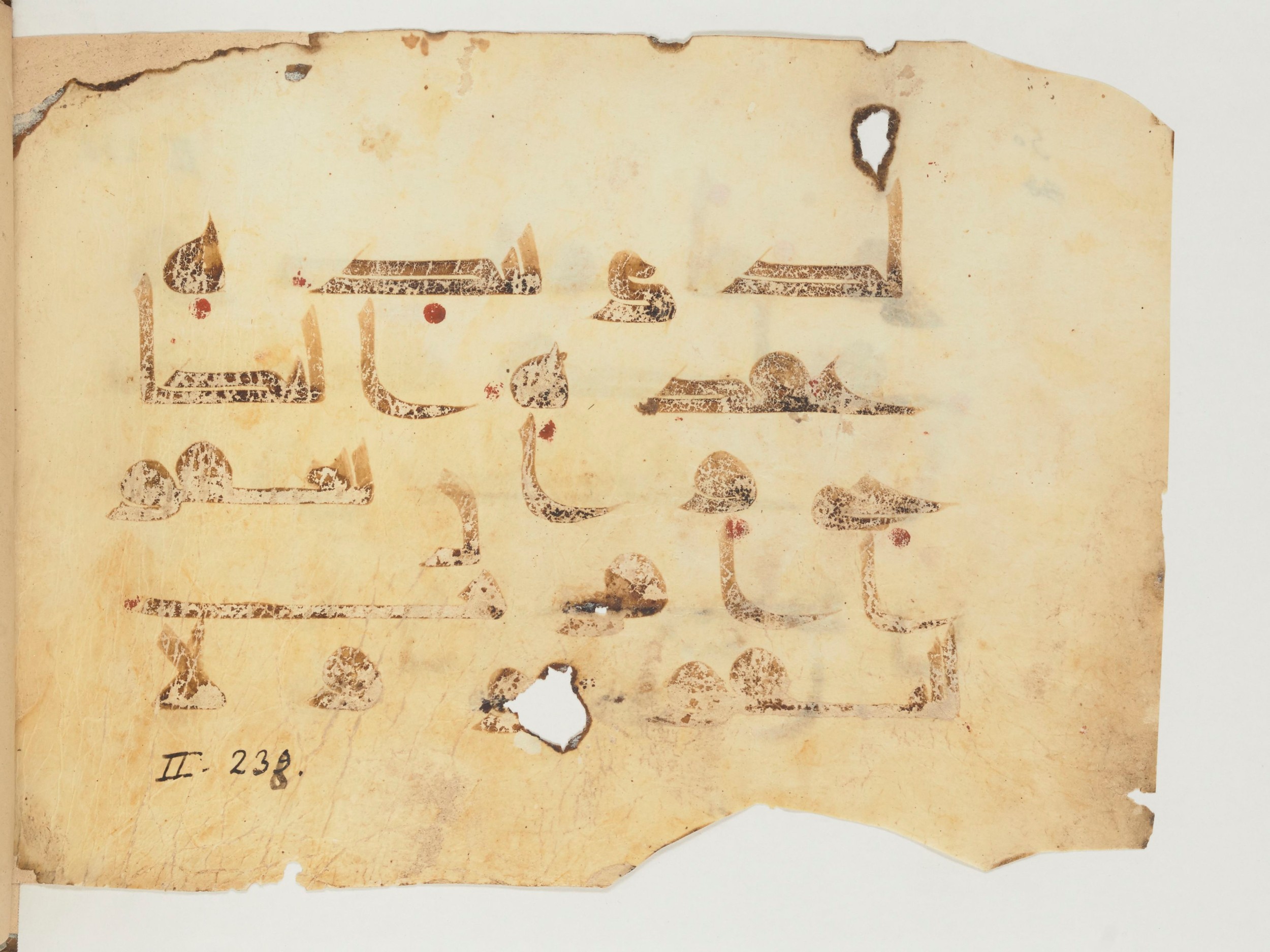 Paris, Bibliothèque nationale de France, Arabe 356 (d) (Scan 2), in Kūfī D.I / D.III script, showing Surah 2:237 from Mid 8th to Late 10th Century AD found in al-Fusṭāṭ (Old Cairo), Egypt, currently housed at Bibliothèque nationale de France, Paris