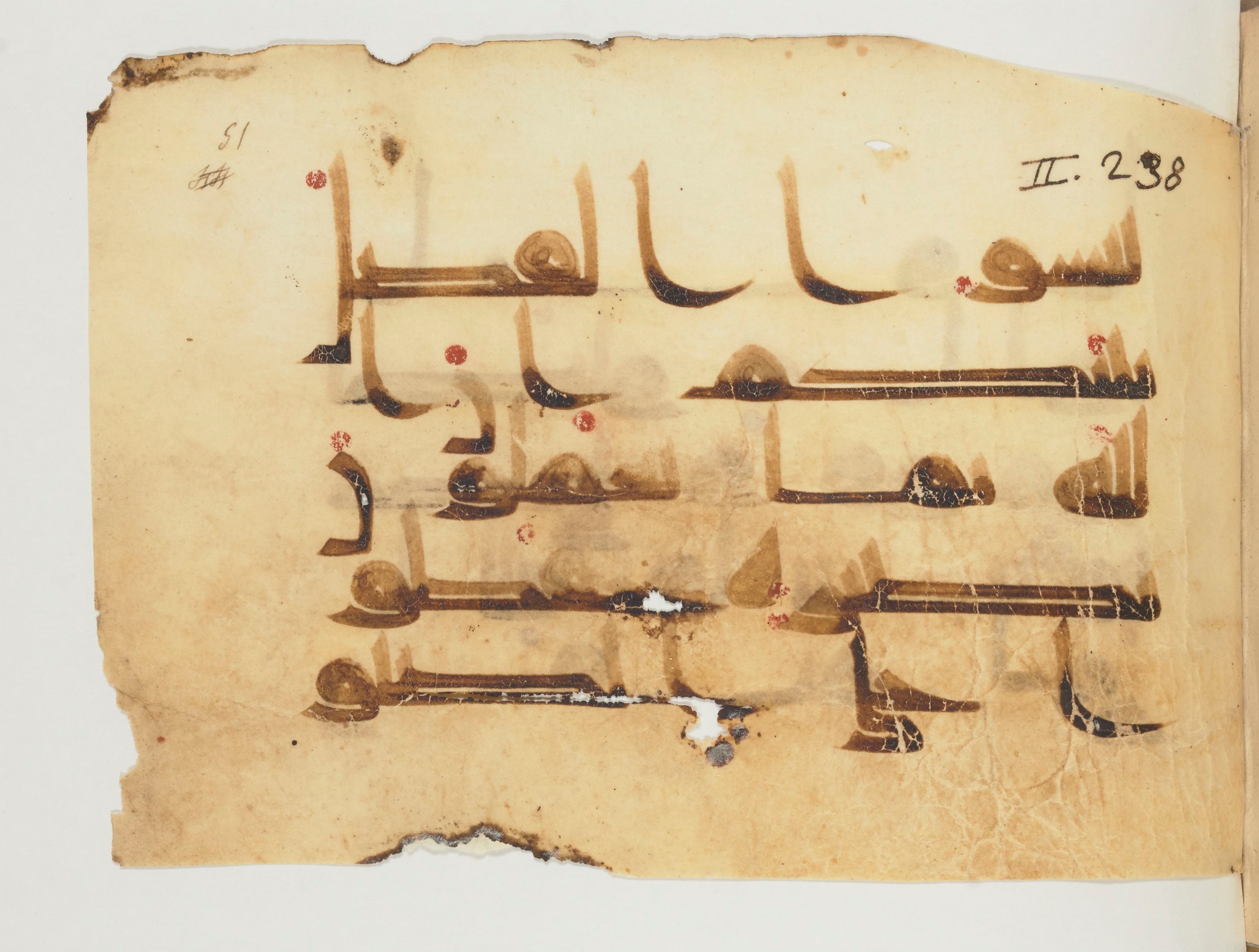 Paris, Bibliothèque nationale de France, Arabe 356 (d) (Scan 3), in Kūfī D.I / D.III script, showing Surah 2:237 from Mid 8th to Late 10th Century AD found in al-Fusṭāṭ (Old Cairo), Egypt, currently housed at Bibliothèque nationale de France, Paris