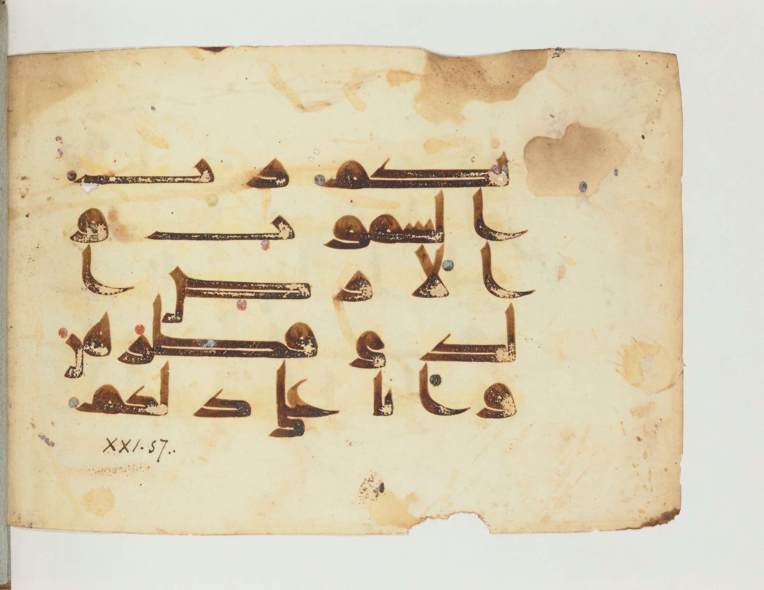 Paris, Bibliothèque nationale de France, Arabe 356 (g) (Scan 2), in kūfī D.I / D.III script, showing Surah 21:56 from Mid 8th to Late 10th Century AD found in al-Fusṭāṭ, currently housed at Bibliothèque nationale de France, Paris