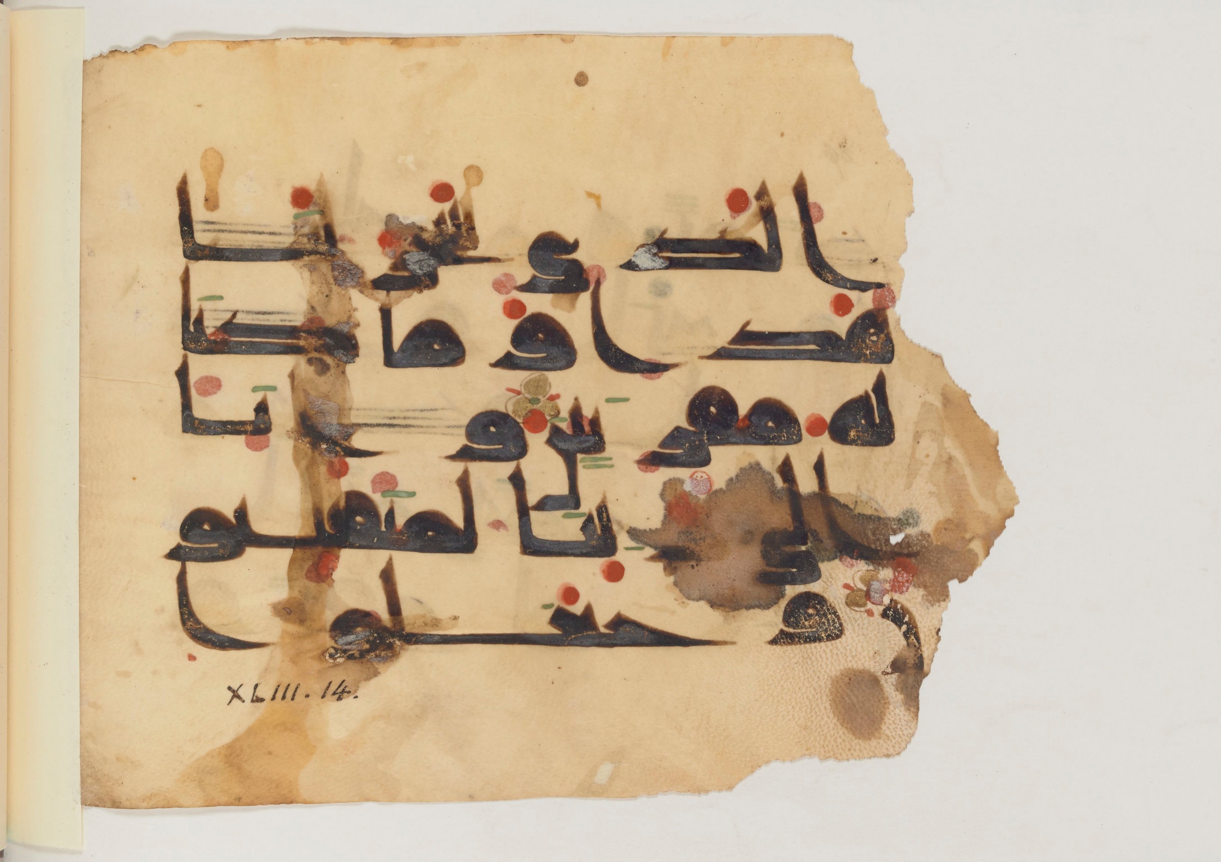 Paris, Bibliothèque nationale de France, Arabe 357 (Scan 3), in Early Kufic D.III script, showing Surah 43:13 from Mid 8th to Late 10th Century AD found in Fustat (Old Cairo), Egypt, currently housed at Bibliothèque nationale de France, Paris