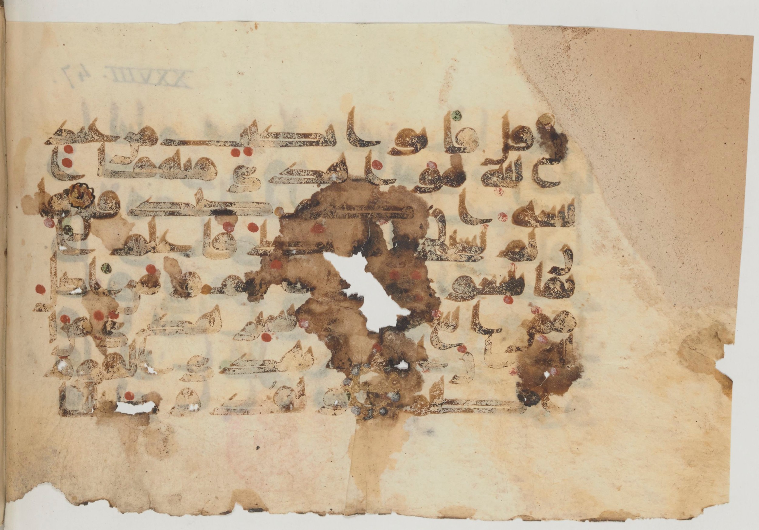 Paris, Bibliothèque nationale de France, Arabe 359 (a), in Kufic Group D script, showing Surah 28:49 from Mid 8th to Late 10th Century AD found in Fustat (Old Cairo), Egypt, currently housed at Bibliothèque nationale de France, Paris