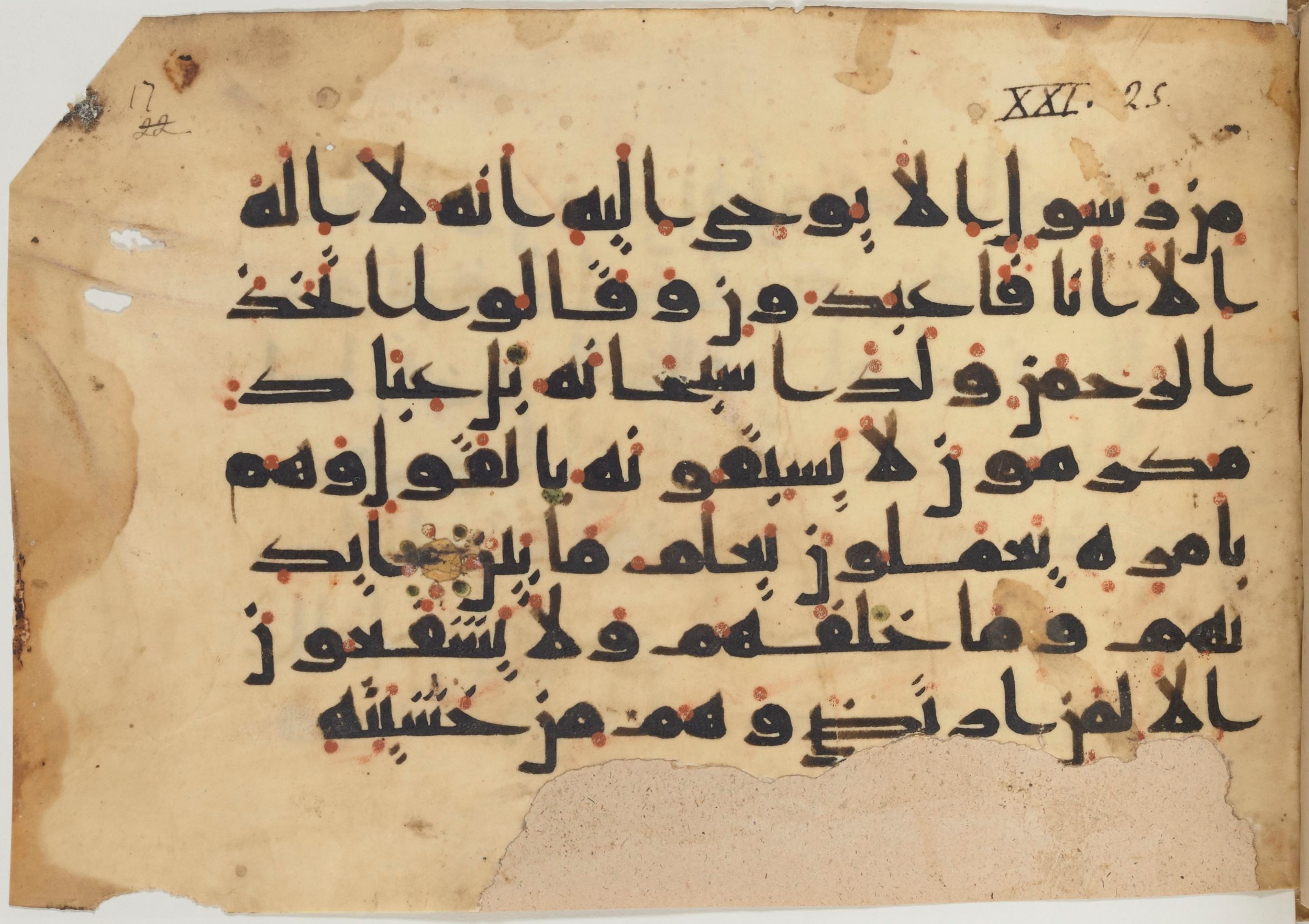 Paris, Bibliothèque nationale de France, Arabe 361 (f), in kūfī D.Va script, showing Surah 21:27 from Mid 8th to Late 10th Century AD found in al-Fusṭāṭ (Old Cairo), Egypt, currently housed at Bibliothèque nationale de France, Paris