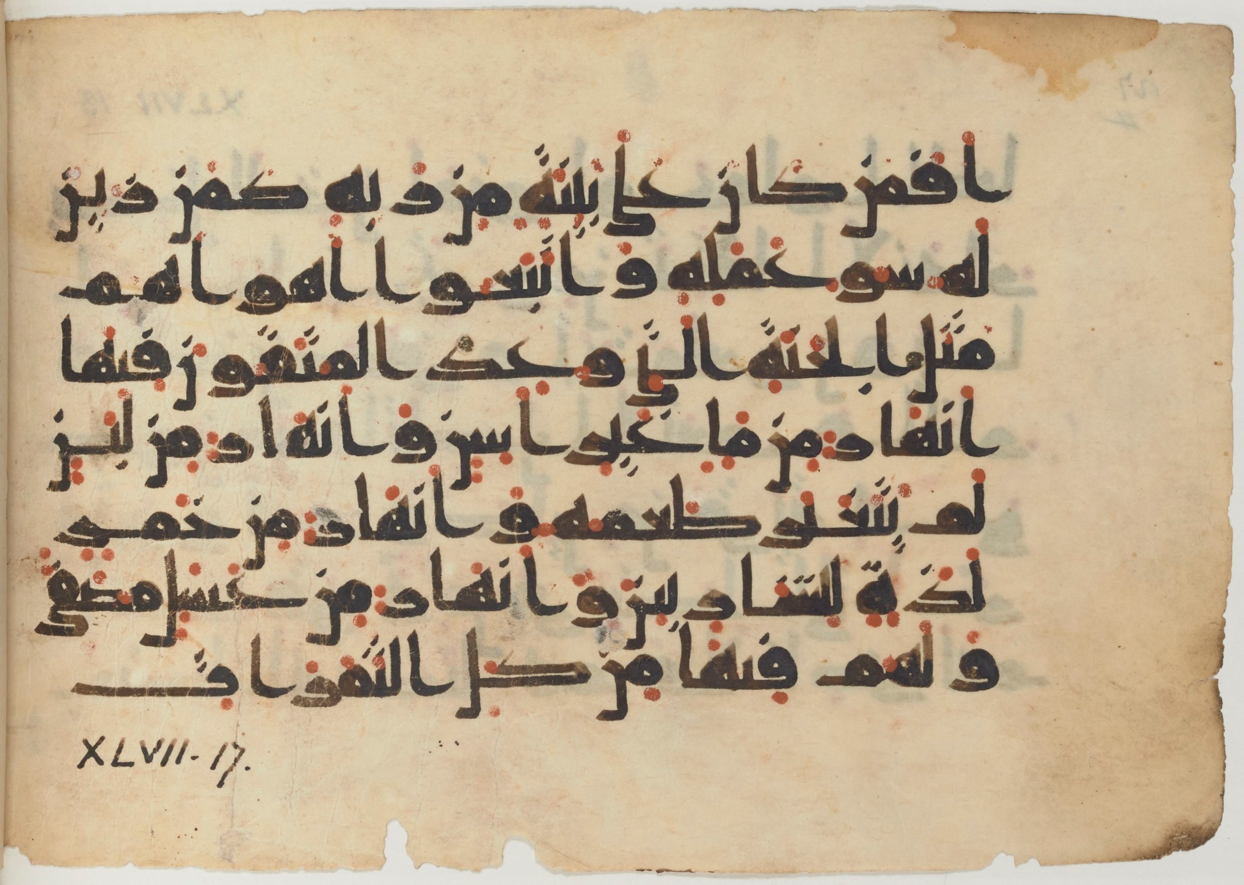 Paris, Bibliothèque nationale de France, Arabe 361 (f), in kūfī D.Va script, showing Surah 47:14 from Mid 8th to Late 10th Century AD found in al-Fusṭāṭ (Old Cairo), Egypt, currently housed at Bibliothèque nationale de France, Paris