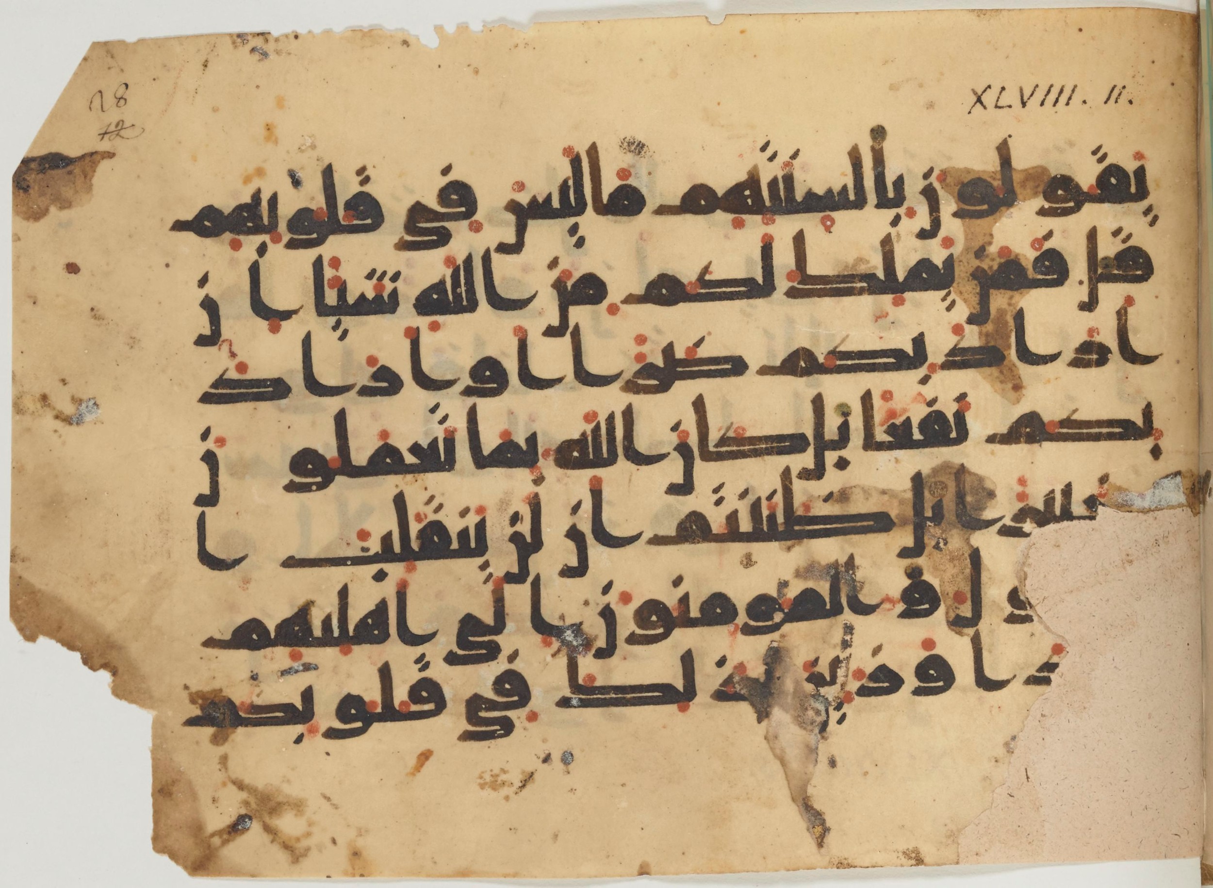 Paris, Bibliothèque nationale de France, Arabe 361 (f) (Scan 1), in kūfī D.Va script, showing Surah 48:12 from Mid 8th to Late 10th Century AD found in al-Fusṭāṭ (Old Cairo), Egypt, currently housed at Bibliothèque nationale de France, Paris