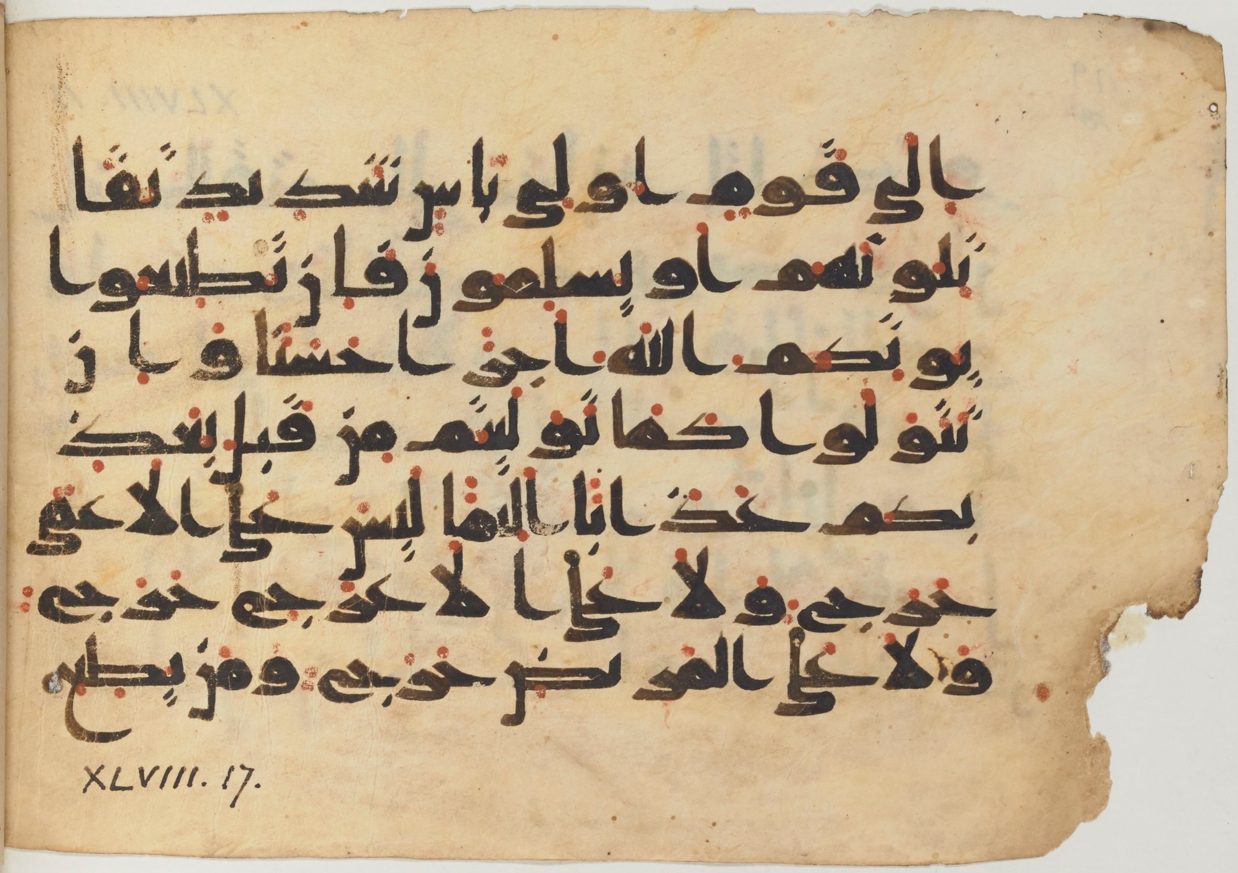 Paris, Bibliothèque nationale de France, Arabe 361 (f) (Scan 1), in kūfī D.Va script, showing Surah 48:17 from Mid 8th to Late 10th Century AD found in al-Fusṭāṭ (Old Cairo), Egypt, currently housed at Bibliothèque nationale de France, Paris