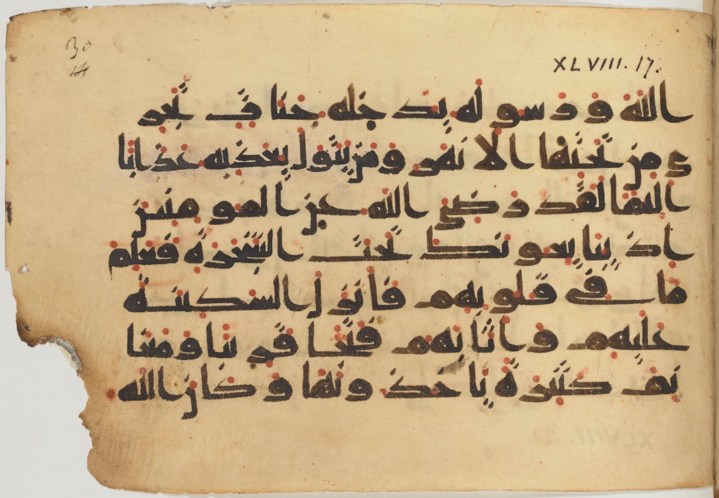 Paris, Bibliothèque nationale de France, Arabe 361 (f), in kūfī D.Va script, showing Surah 48:18 from Mid 8th to Late 10th Century AD found in al-Fusṭāṭ (Old Cairo), Egypt, currently housed at Bibliothèque nationale de France, Paris