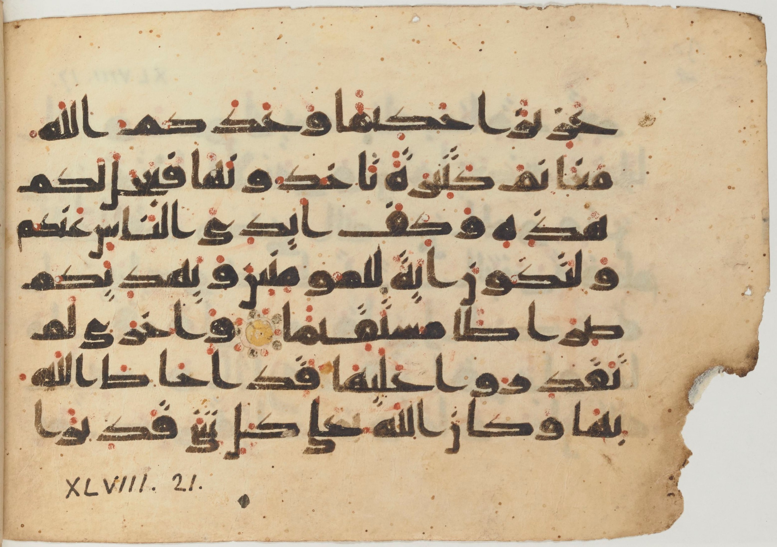 Paris, Bibliothèque nationale de France, Arabe 361 (f), in kūfī D.Va script, showing Surah 48:21 from Mid 8th to Late 10th Century AD found in al-Fusṭāṭ (Old Cairo), Egypt, currently housed at Bibliothèque nationale de France, Paris