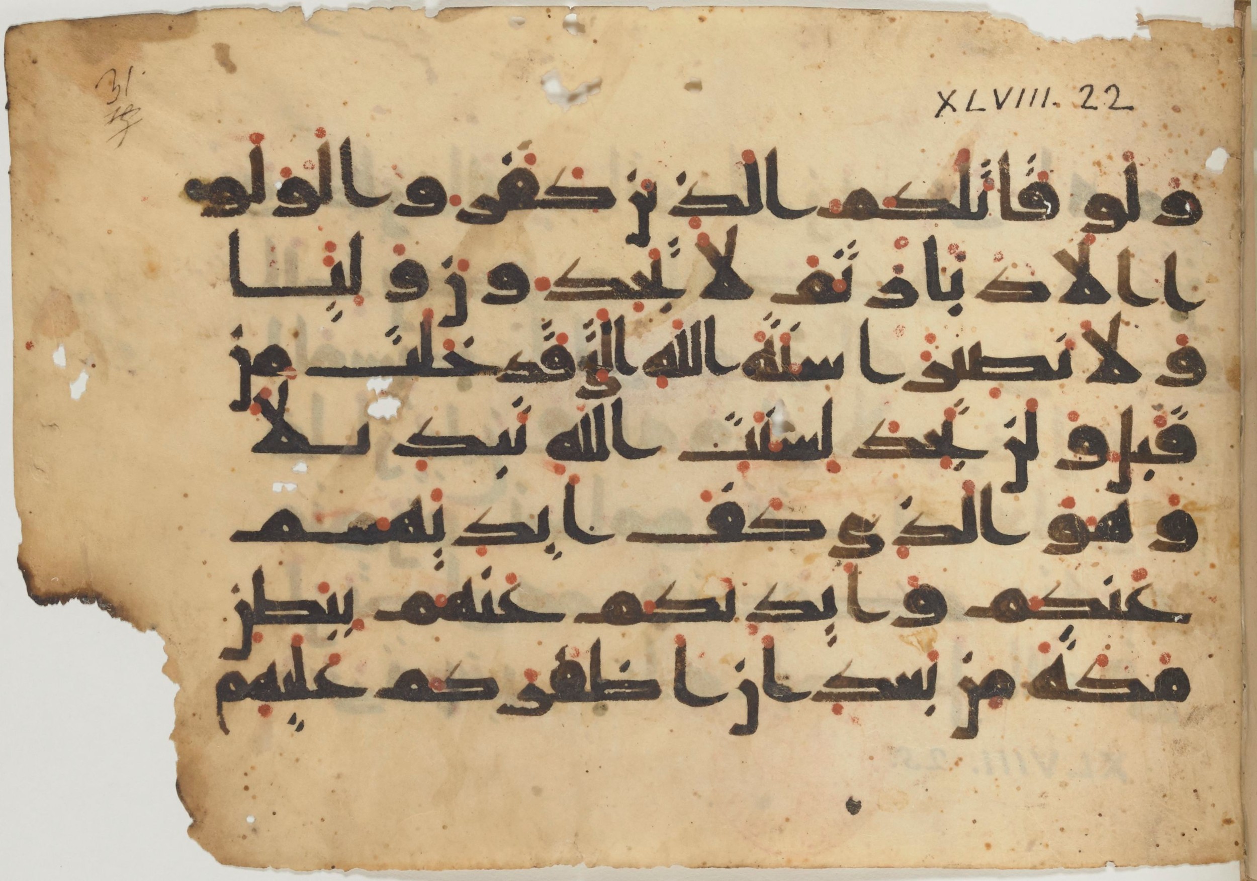 Paris, Bibliothèque nationale de France, Arabe 361 (f), in kūfī D.Va script, showing Surah 48:22 from Mid 8th to Late 10th Century AD found in al-Fusṭāṭ (Old Cairo), Egypt, currently housed at Bibliothèque nationale de France, Paris