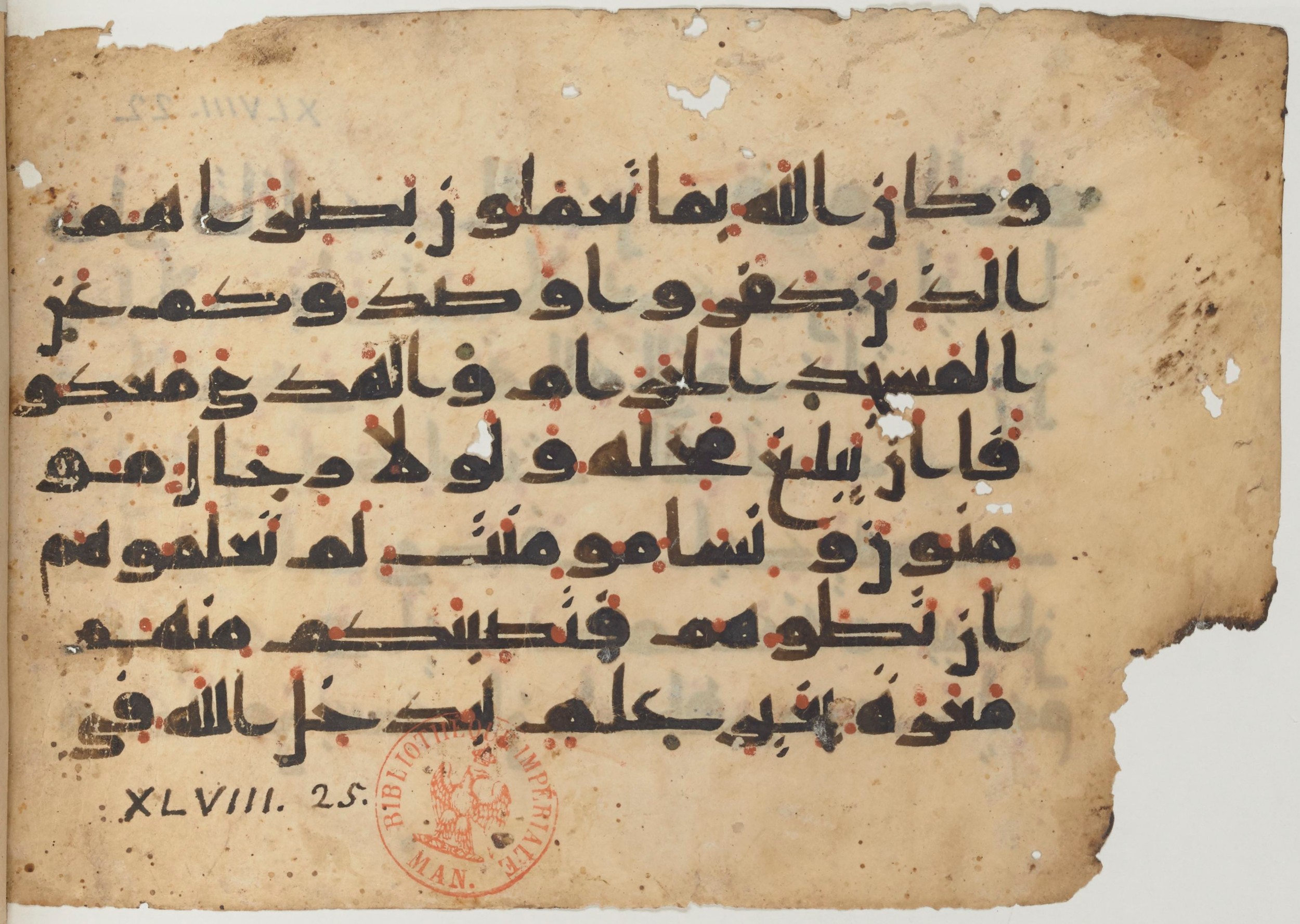 Paris, Bibliothèque nationale de France, Arabe 361 (f) (Scan 2), in kūfī D.Va script, showing Surah 48:24 from Mid 8th to Late 10th Century AD found in al-Fusṭāṭ (Old Cairo), Egypt, currently housed at Bibliothèque nationale de France, Paris