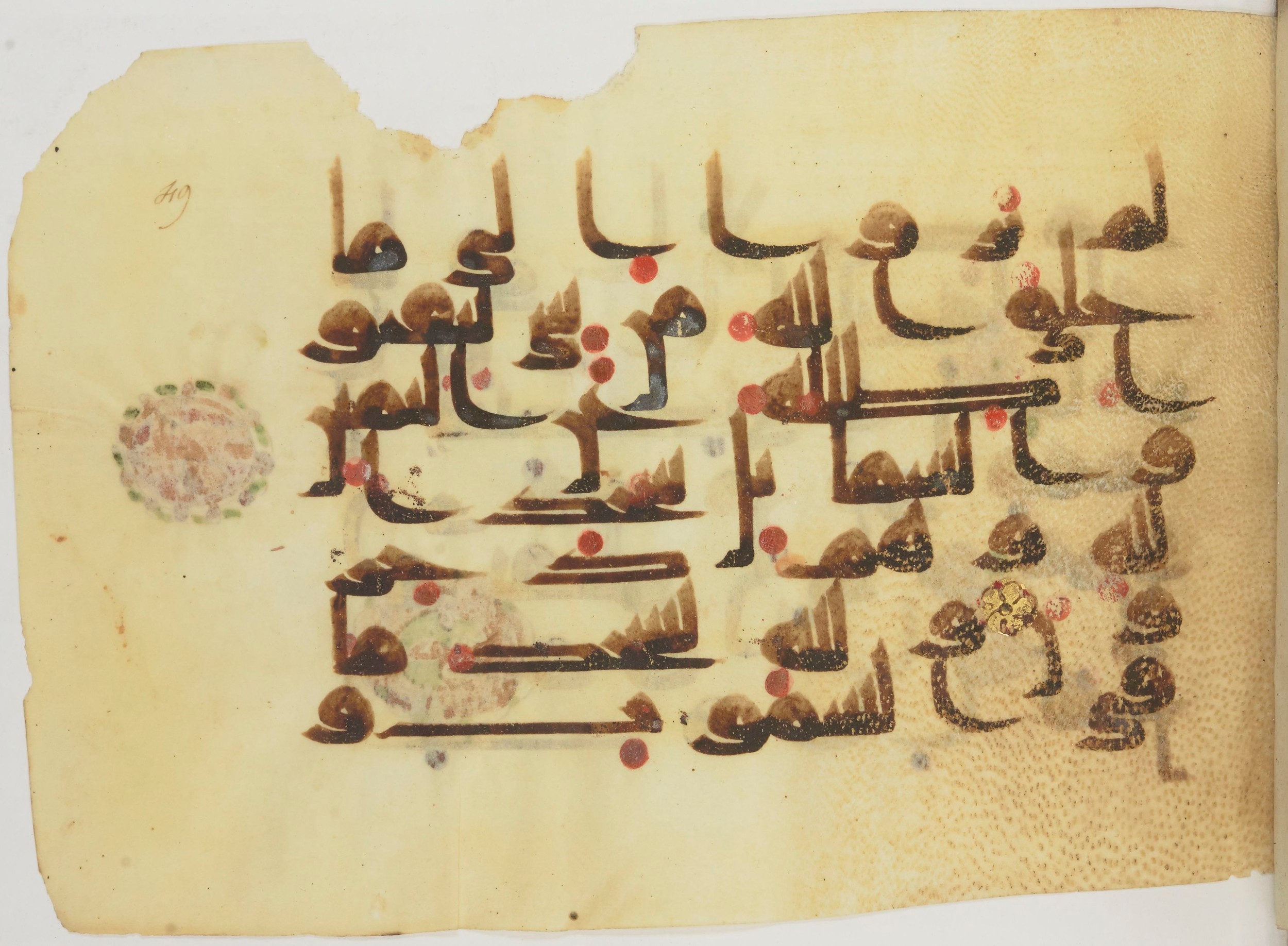 Bibliothèque nationale de France, Arabe 362 (a) (Scan 1), in Early Kufic (Déroche D III) script, showing Surah 16:49 from Mid 8th to Late 10th Century AD found in Unknown, currently housed at Bibliothèque nationale de France, Paris