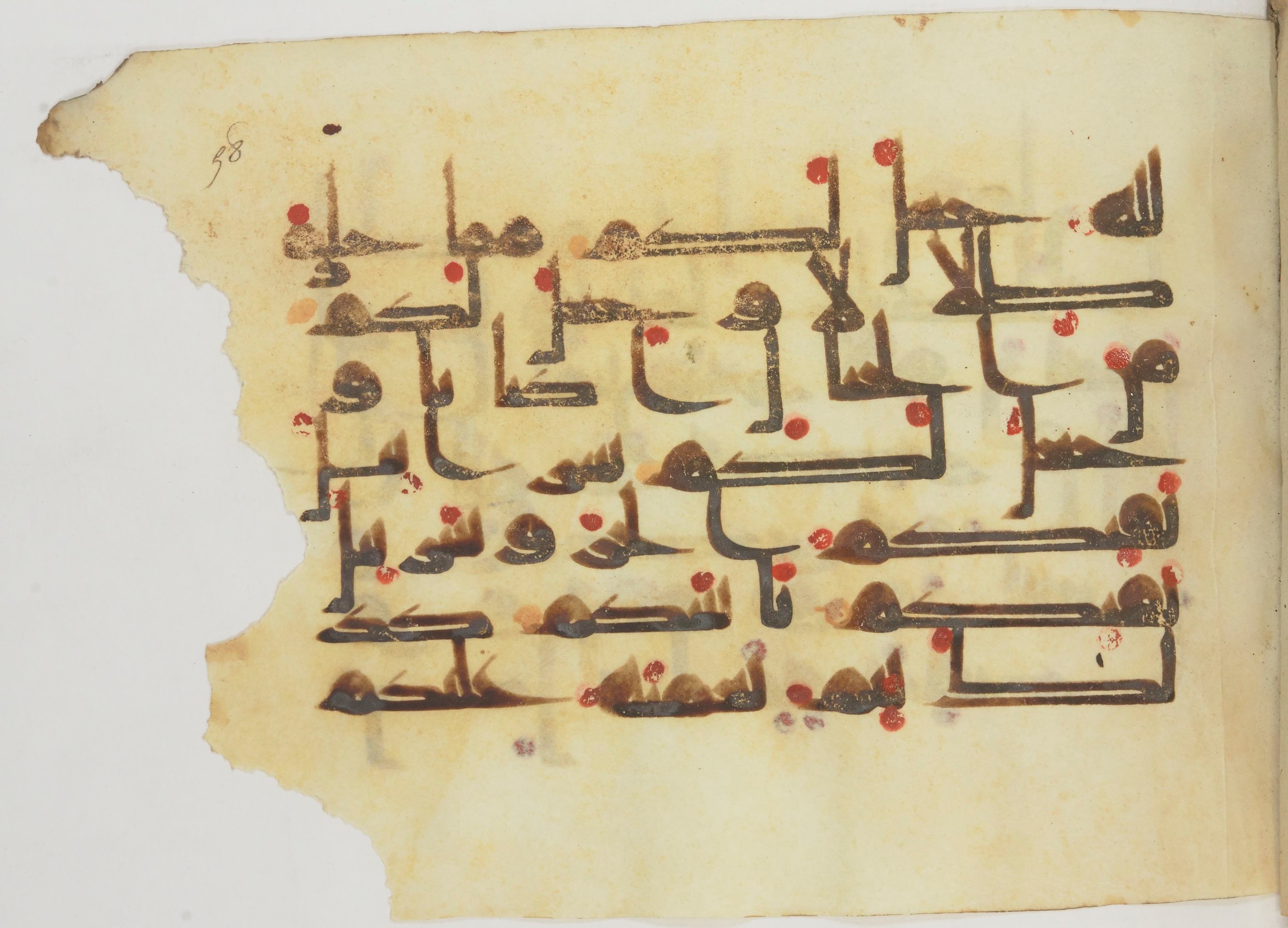 Bibliothèque nationale de France, Arabe 362 (a) (Scan 2), in Early Kufic (Déroche D III) script, showing Surah 16:81 from Mid 8th to Late 10th Century AD found in Unknown, currently housed at Bibliothèque nationale de France, Paris