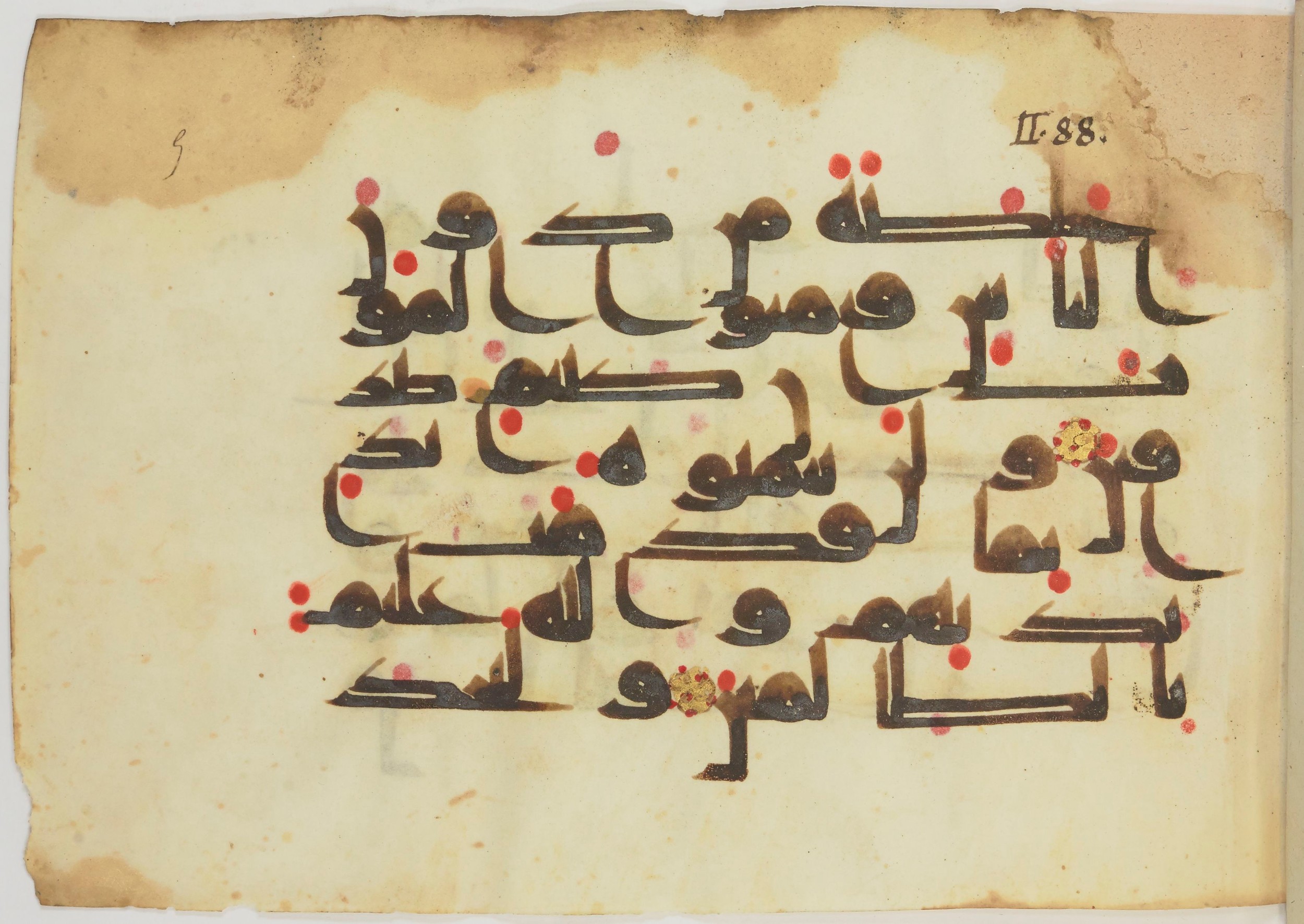 Bibliothèque nationale de France, Arabe 362 (a) (Scan 1), in Early Kufic (Déroche D III) script, showing Surah 2:96 from Mid 8th to Late 10th Century AD found in Unknown, currently housed at Bibliothèque nationale de France, Paris