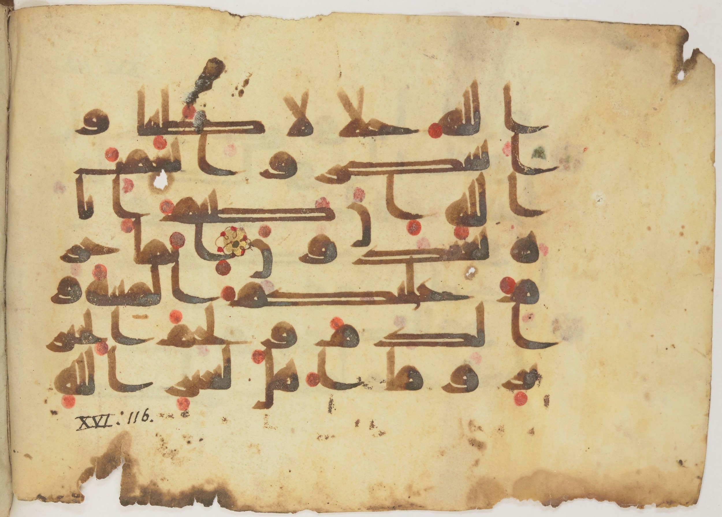 Bibliothèque nationale de France, Arabe 362 (a) (Scan 1), in Early Kufic (Déroche D III) script, showing Surah 16:115 from Mid 8th to Late 10th Century AD found in Unknown, currently housed at Bibliothèque nationale de France, Paris