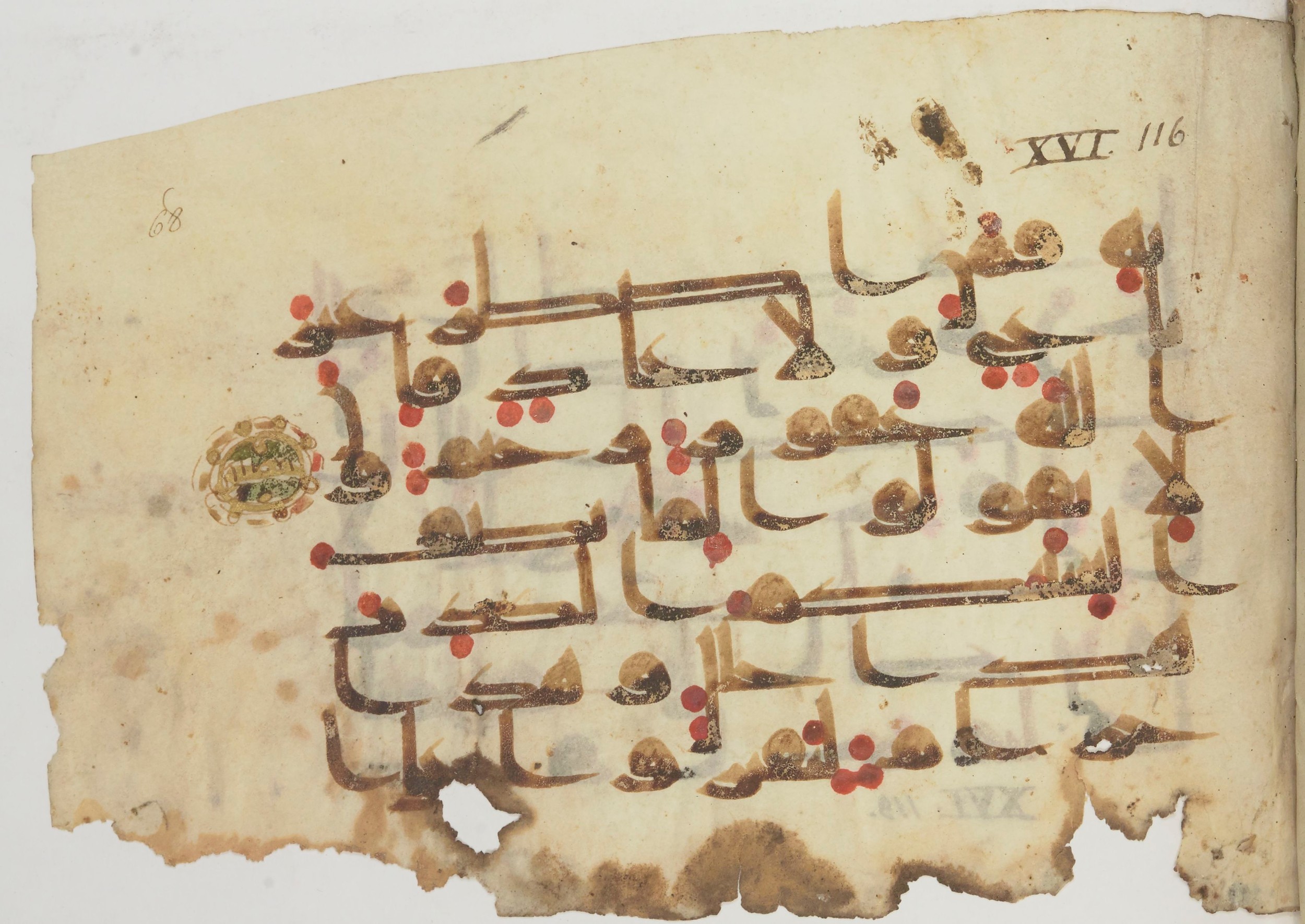 Bibliothèque nationale de France, Arabe 362 (a) (Scan 1), in Early Kufic (Déroche D III) script, showing Surah 16:116 from Mid 8th to Late 10th Century AD found in Unknown, currently housed at Bibliothèque nationale de France, Paris