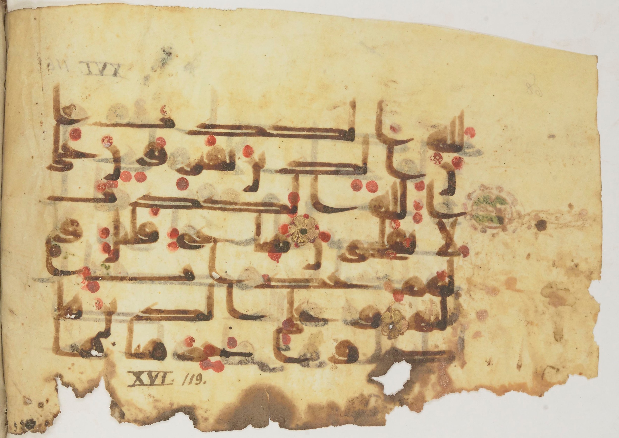 Bibliothèque nationale de France, Arabe 362 (a) (Scan 2), in Early Kufic (Déroche D III) script, showing Surah 16:116 from Mid 8th to Late 10th Century AD found in Unknown, currently housed at Bibliothèque nationale de France, Paris