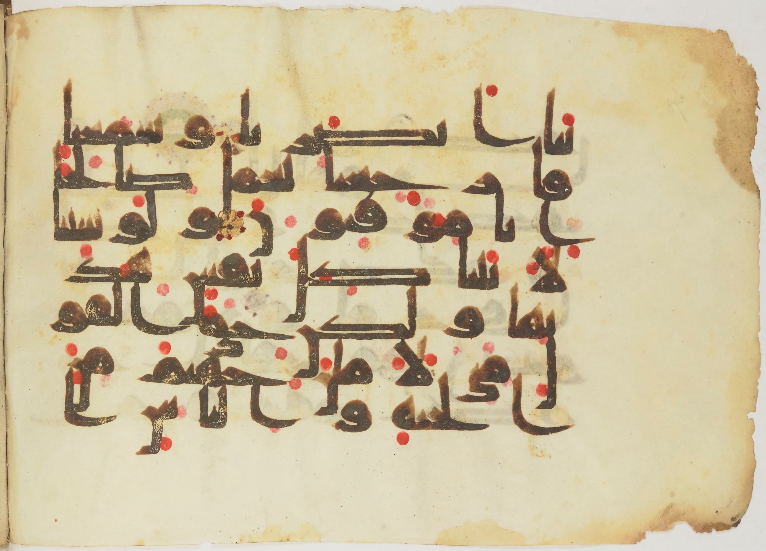 Bibliothèque nationale de France, Arabe 362 (a) (Scan 2), in Early Kufic (Déroche D III) script, showing Surah 32:12 from Mid 8th to Late 10th Century AD found in Unknown, currently housed at Bibliothèque nationale de France, Paris