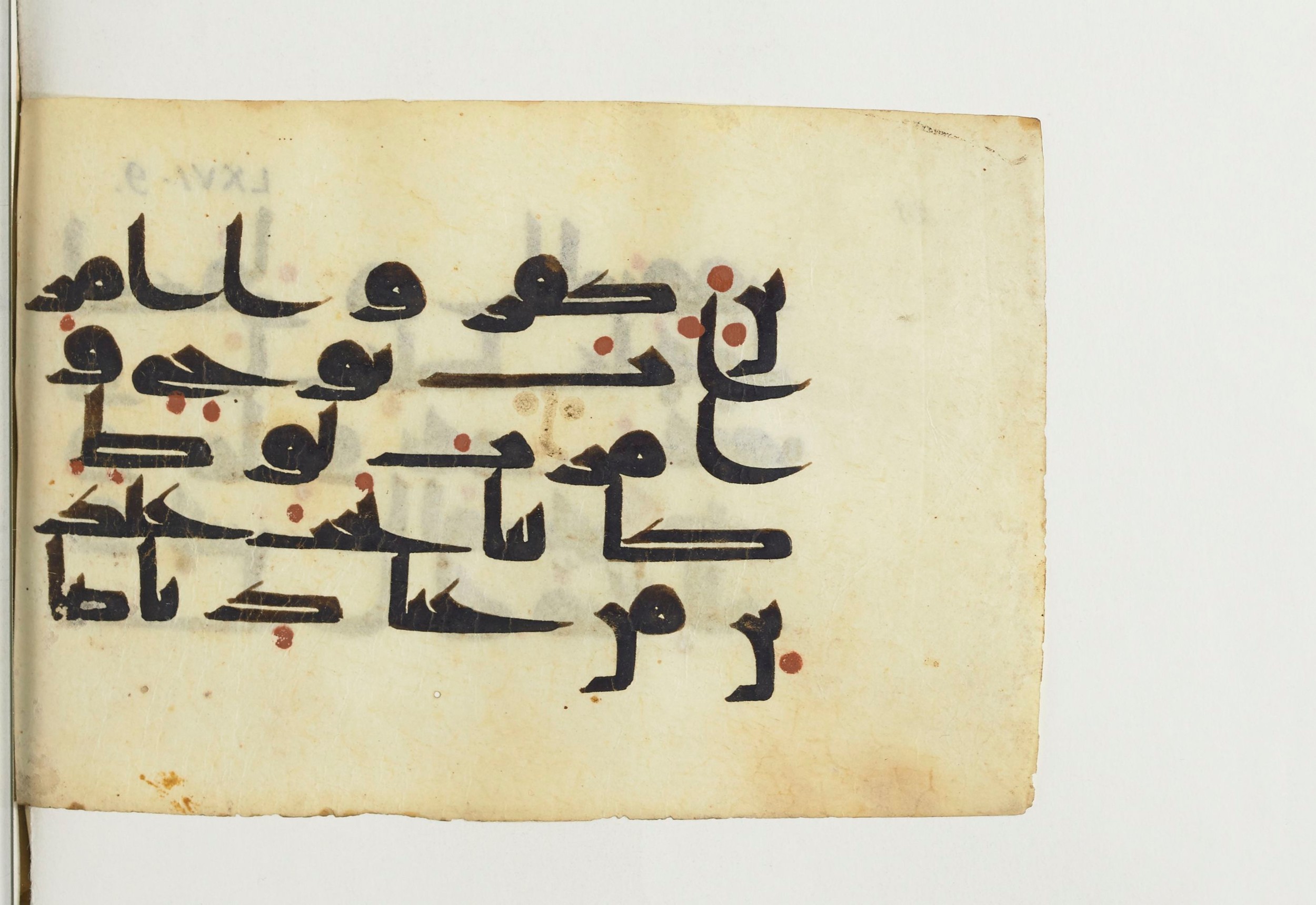 Paris, Bibliothèque nationale de France, Arabe 366 (c) (Scan 2), in Kufic D.V.a script, showing Surah 66:10 from Mid 8th to Late 10th Century AD found in Fustat (Old Cairo), Egypt, currently housed at Bibliothèque nationale de France, Paris