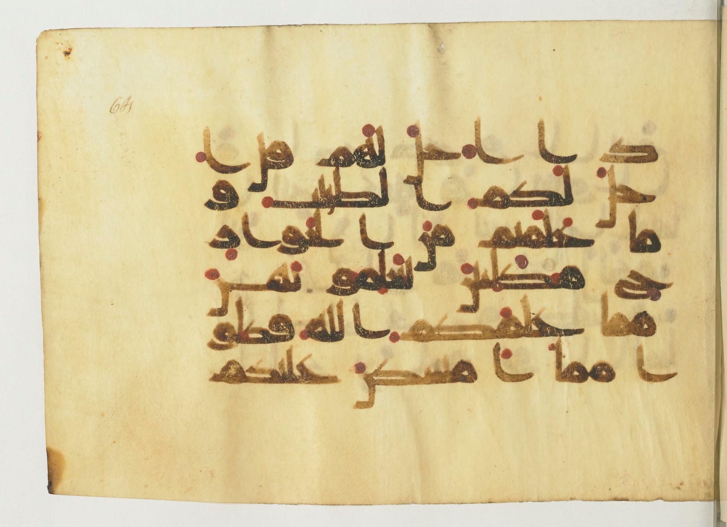 Paris, Bibliothèque nationale de France, Arabe 366 (e) (Scan 2), in Kufic D.I script, showing Surah 5:4 from Mid 8th to Late 10th Century AD found in Fustat (Old Cairo), Egypt, currently housed at Bibliothèque nationale de France, Paris
