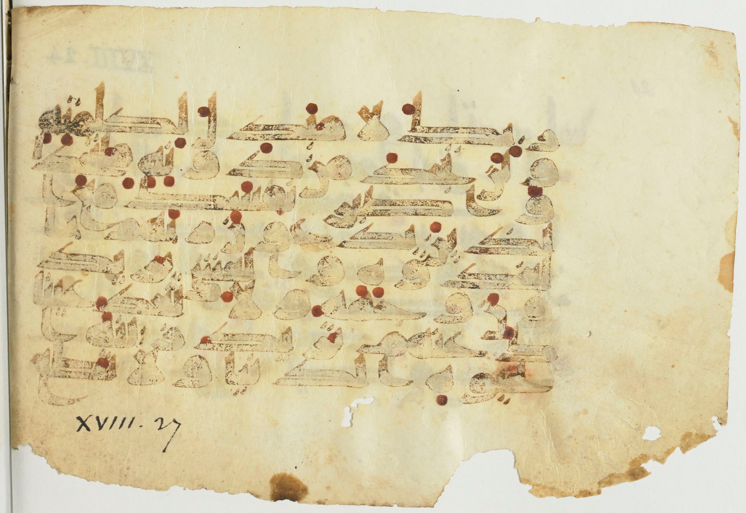 Paris, Bibliothèque nationale de France, Arabe 367 (d) (Scan 1), in Kufic D script, showing Surah 18:28 from Mid-8th to 10th Century AD found in Fustat (Old Cairo), Egypt, currently housed at Bibliothèque nationale de France, Paris