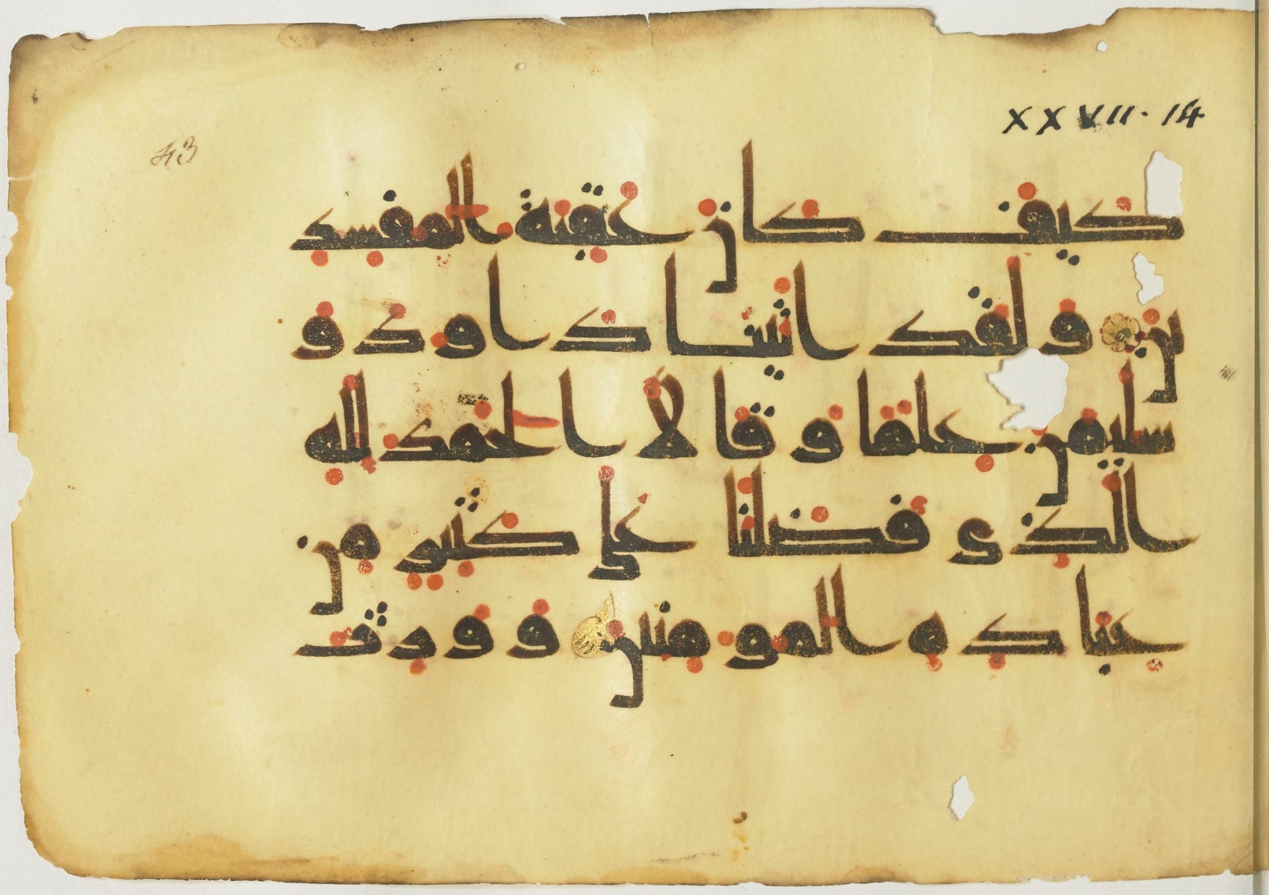 Paris, Bibliothèque nationale de France, Arabe 367 (f) (Scan 1), in Kufic D.Vb script, showing Surah 27:16 from Mid 8th to Late 10th Century AD found in Fustat (Old Cairo), Egypt, currently housed at Bibliothèque nationale de France, Paris