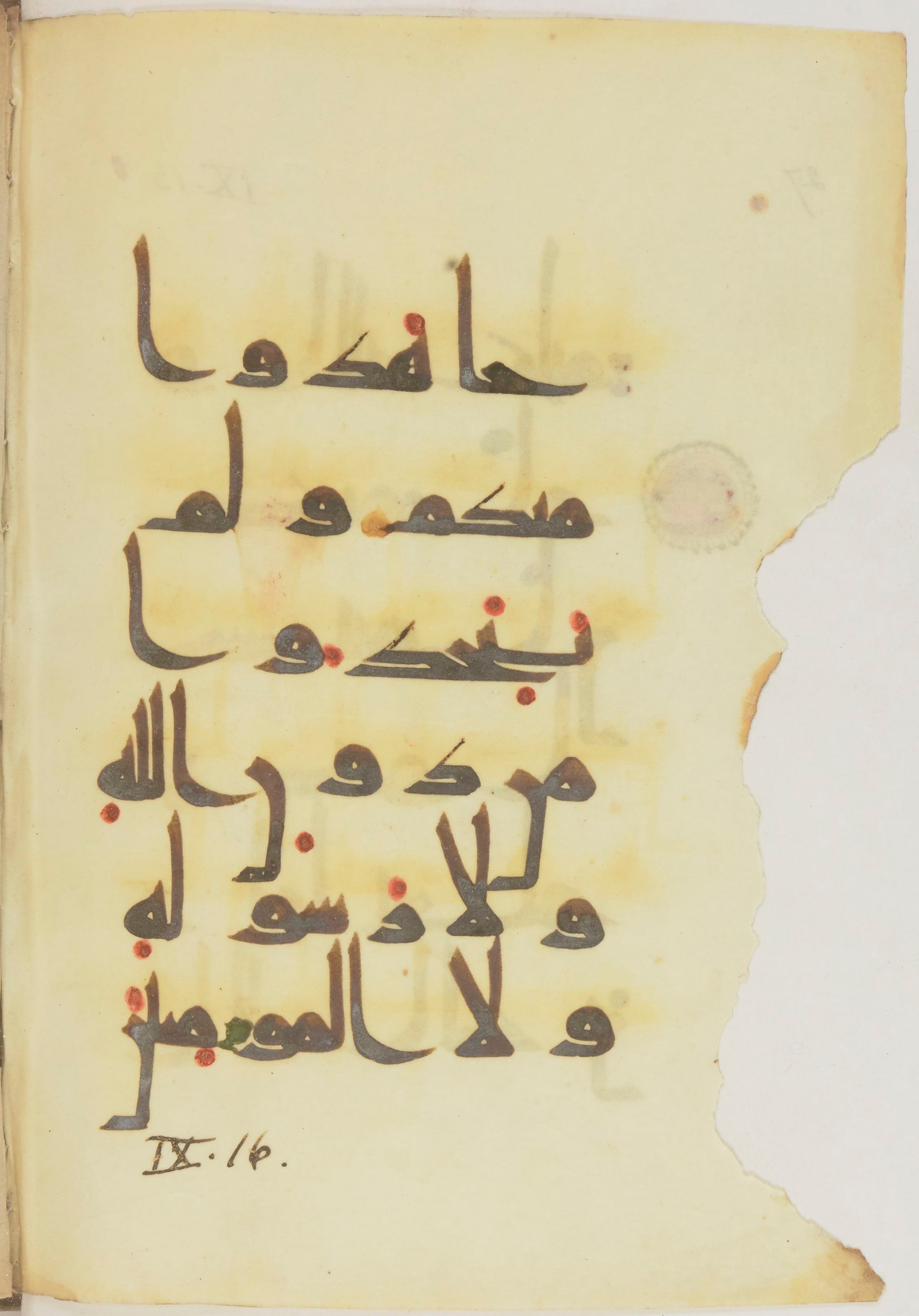 Paris, Bibliothèque nationale de France, Arabe 368 (Scan 2), in kūfī D.Vb script, showing Surah 9:16 from Mid 8th to Late 10th Century AD found in Fustat (Old Cairo), Egypt, currently housed at Bibliothèque nationale de France, Paris