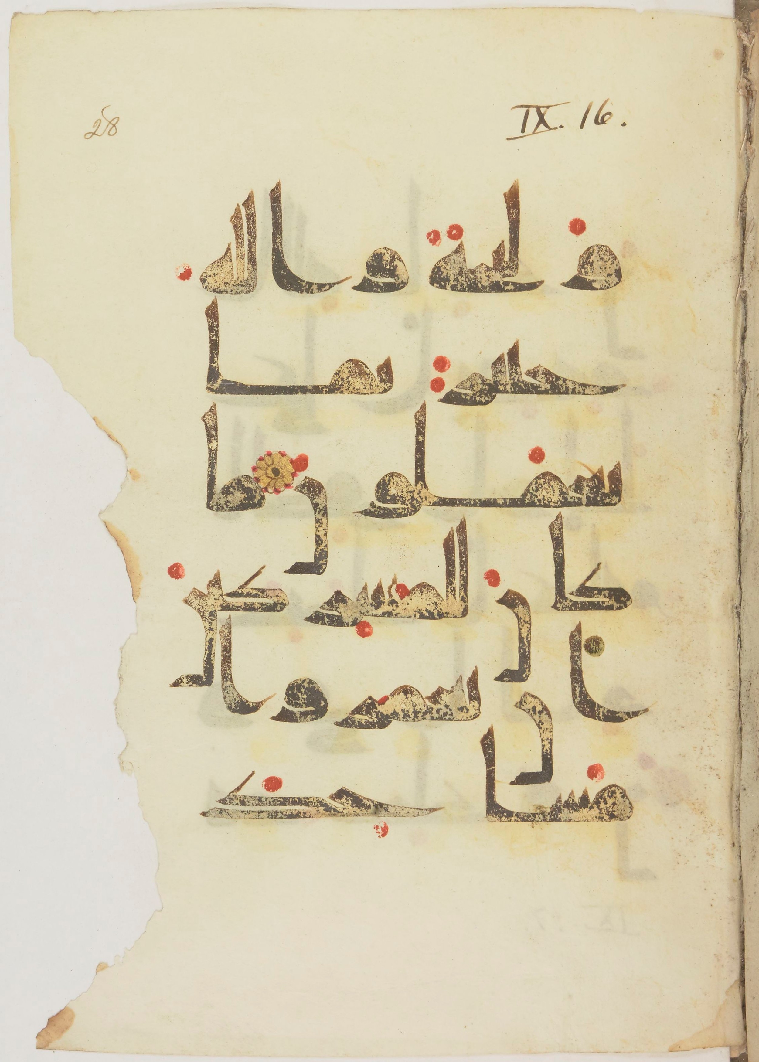 Paris, Bibliothèque nationale de France, Arabe 368 (Scan 3), in kūfī D.Vb script, showing Surah 9:16 from Mid 8th to Late 10th Century AD found in Fustat (Old Cairo), Egypt, currently housed at Bibliothèque nationale de France, Paris