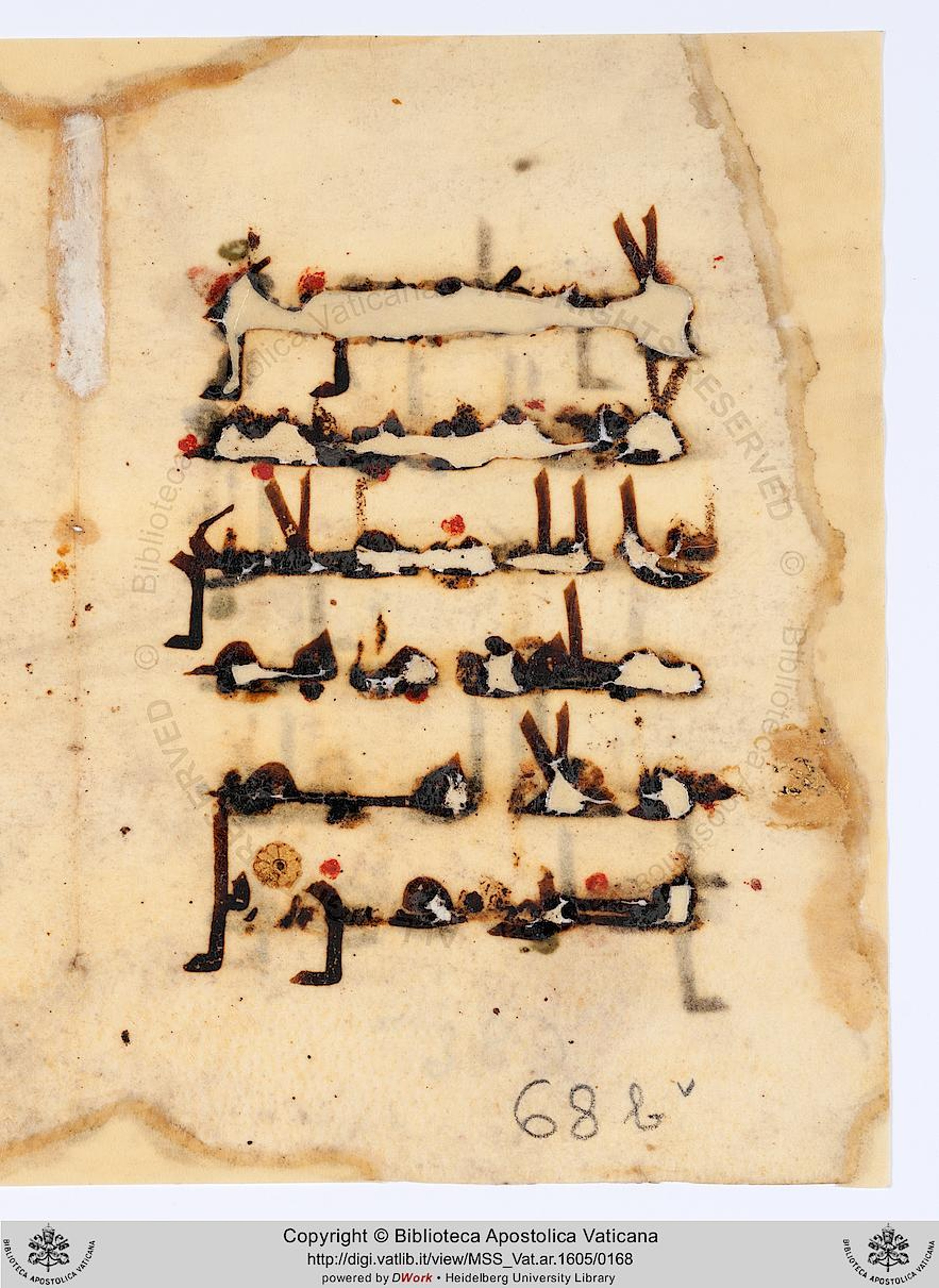 Paris, Bibliothèque nationale de France, Arabe 368 (Scan 2), in kūfī D.Vb script, showing Surah 21:40 from Mid 8th to Late 10th Century AD found in Fustat (Old Cairo), Egypt, currently housed at Bibliothèque nationale de France, Paris