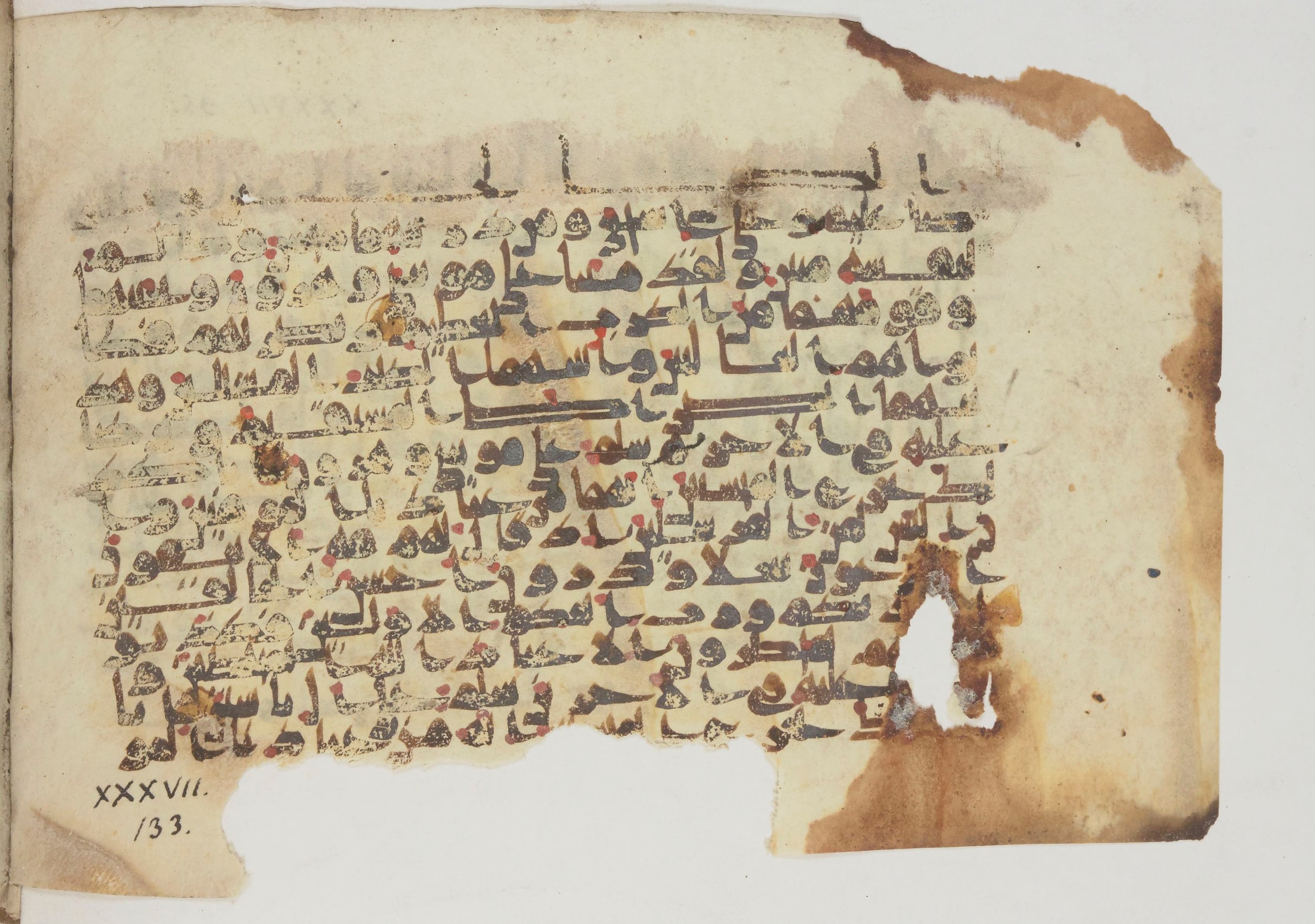Paris, Bibliothèque nationale de France, Arabe 369 (a), in Kūfī (type D) script, showing Surah 37:113 from Mid 8th to Late 9th Century AD found in Fustat (Old Cairo), Egypt, currently housed at Bibliothèque nationale de France, Paris