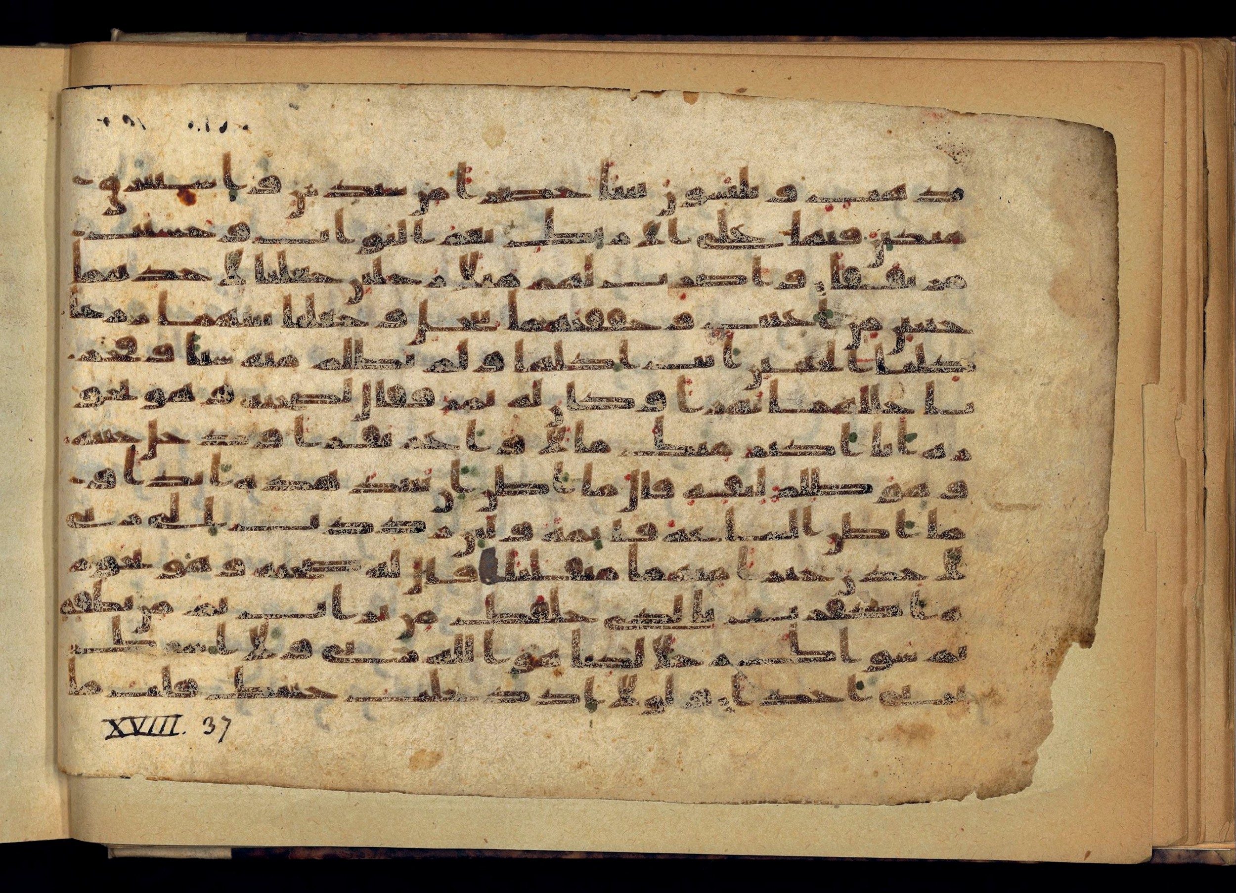 Paris, Bibliothèque nationale de France, Arabe 370 (a), in other (non classified) script, showing Surah 18:39 from 8th to 9th Century AD found in Fustat (Old Cairo), Egypt, currently housed at Bibliothèque nationale de France, Paris