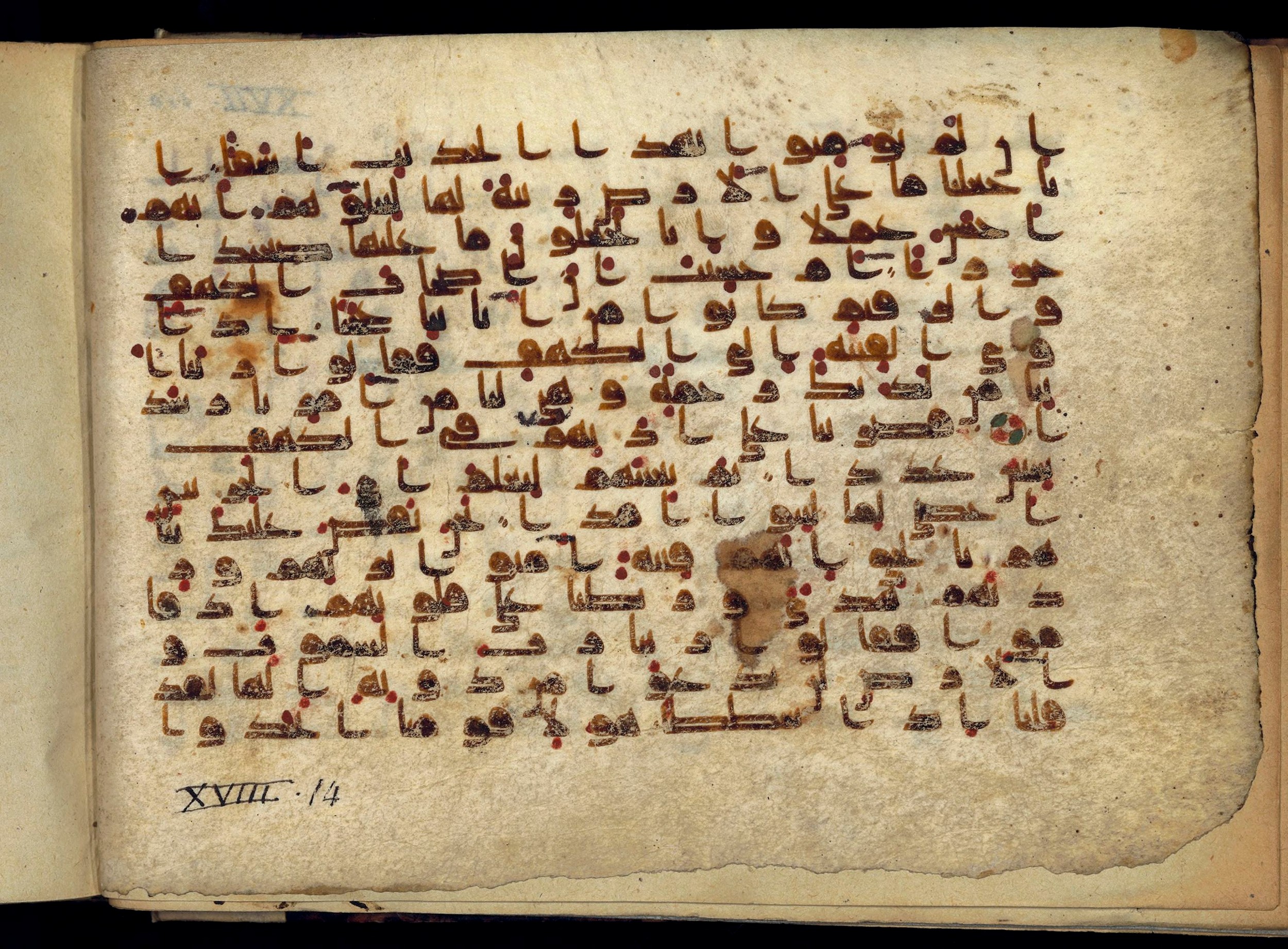 Paris, Bibliothèque nationale de France, Arabe 370 (c), in Kufic D.I script, showing Surah 18:13 from Mid 8th to Late 10th Century AD found in al-Fusṭāṭ (Old Cairo), Egypt, currently housed at Bibliothèque nationale de France, Paris