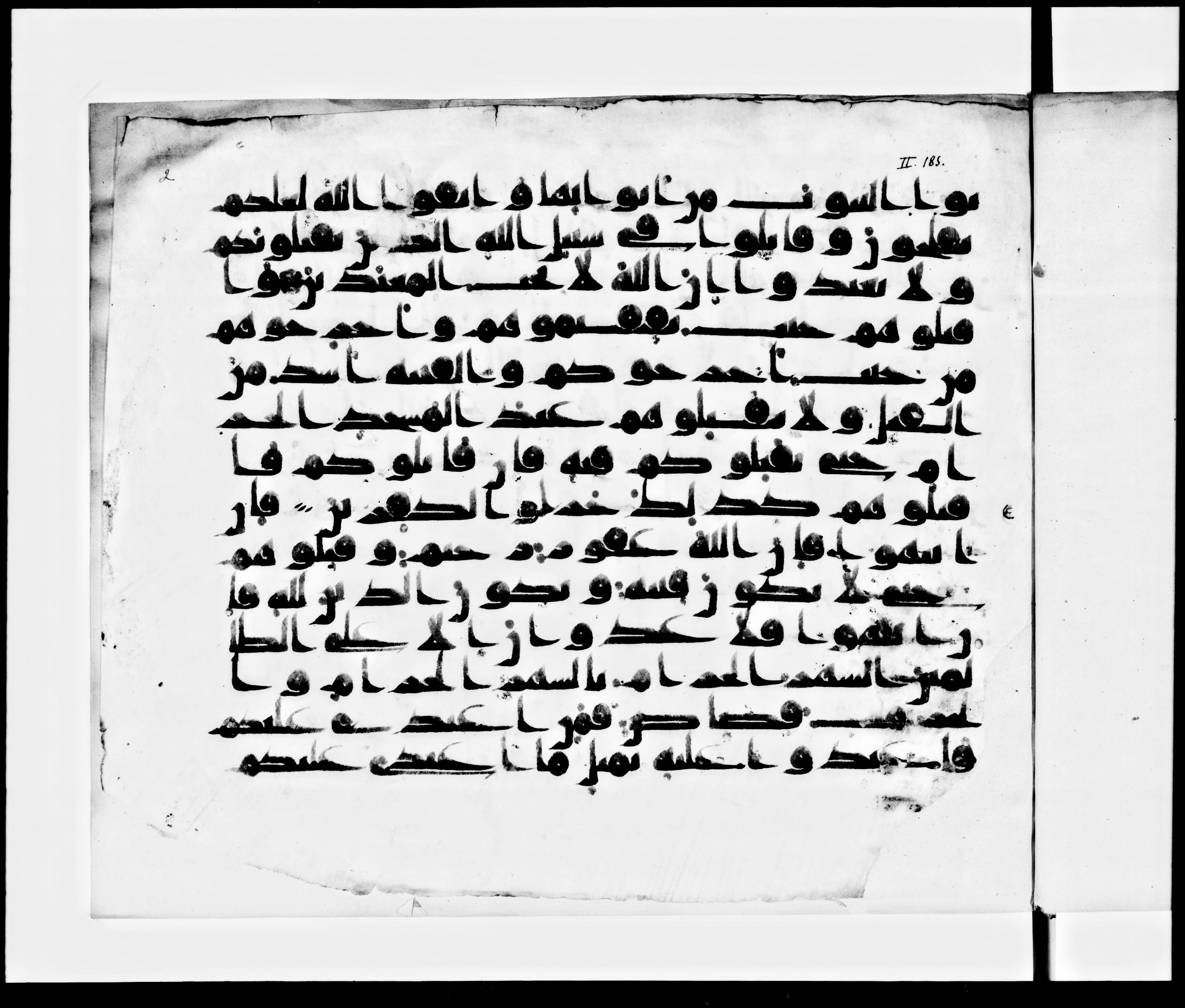 Arabe 371, in kūfī (subtype not classified) script, showing Surah 2:192 from Mid 8th to Late 10th Century AD found in Fustat (Old Cairo), Egypt, currently housed at Bibliothèque nationale de France, Paris