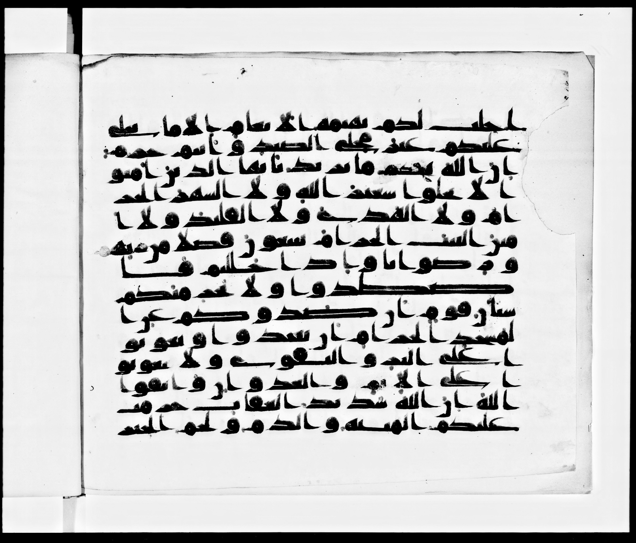 Arabe 371, in kūfī (subtype not classified) script, showing Surah 5:2 from Mid 8th to Late 10th Century AD found in Fustat (Old Cairo), Egypt, currently housed at Bibliothèque nationale de France, Paris