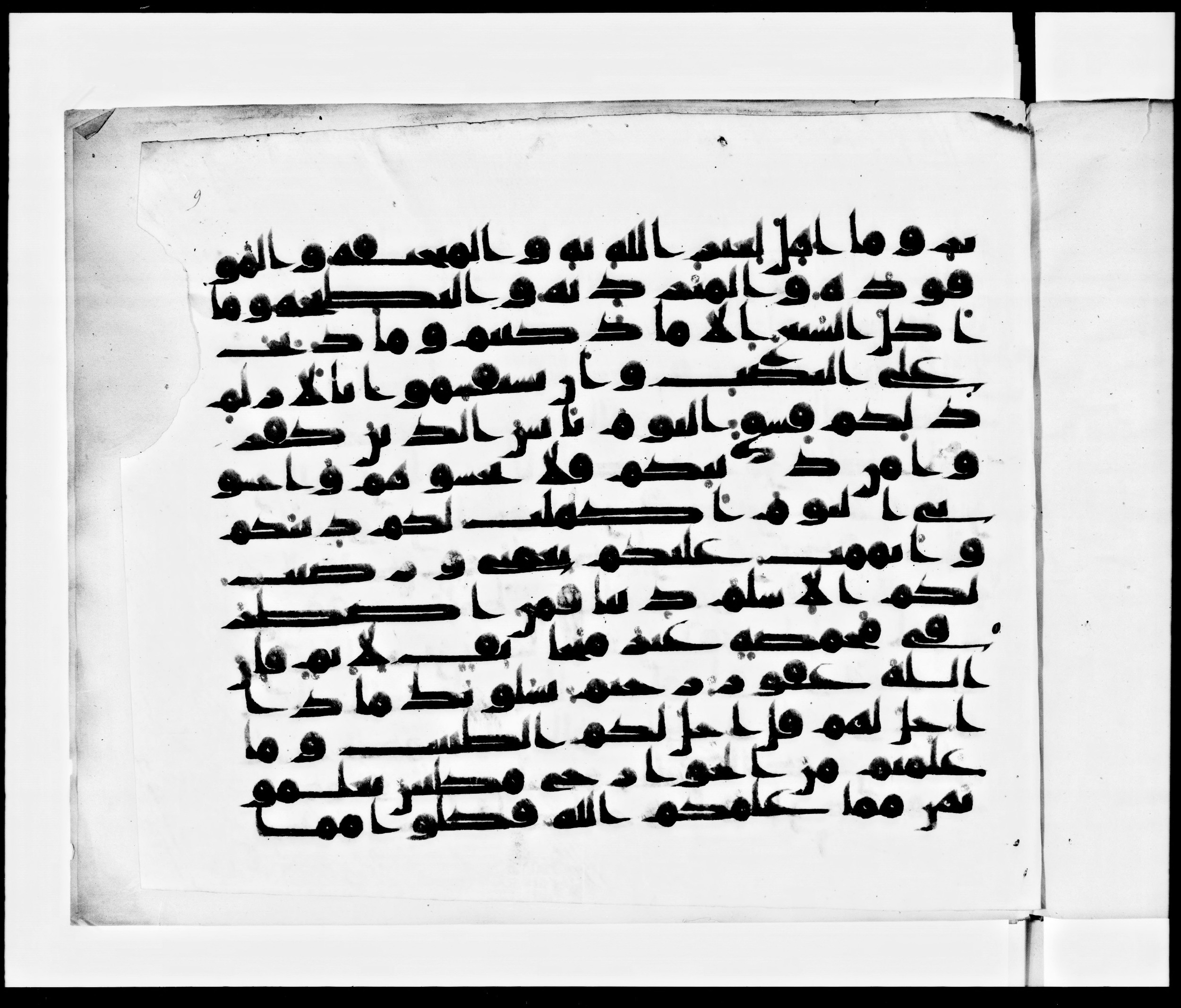 Arabe 371 (Scan 1), in kūfī (subtype not classified) script, showing Surah 5:4 from Mid 8th to Late 10th Century AD found in Fustat (Old Cairo), Egypt, currently housed at Bibliothèque nationale de France, Paris
