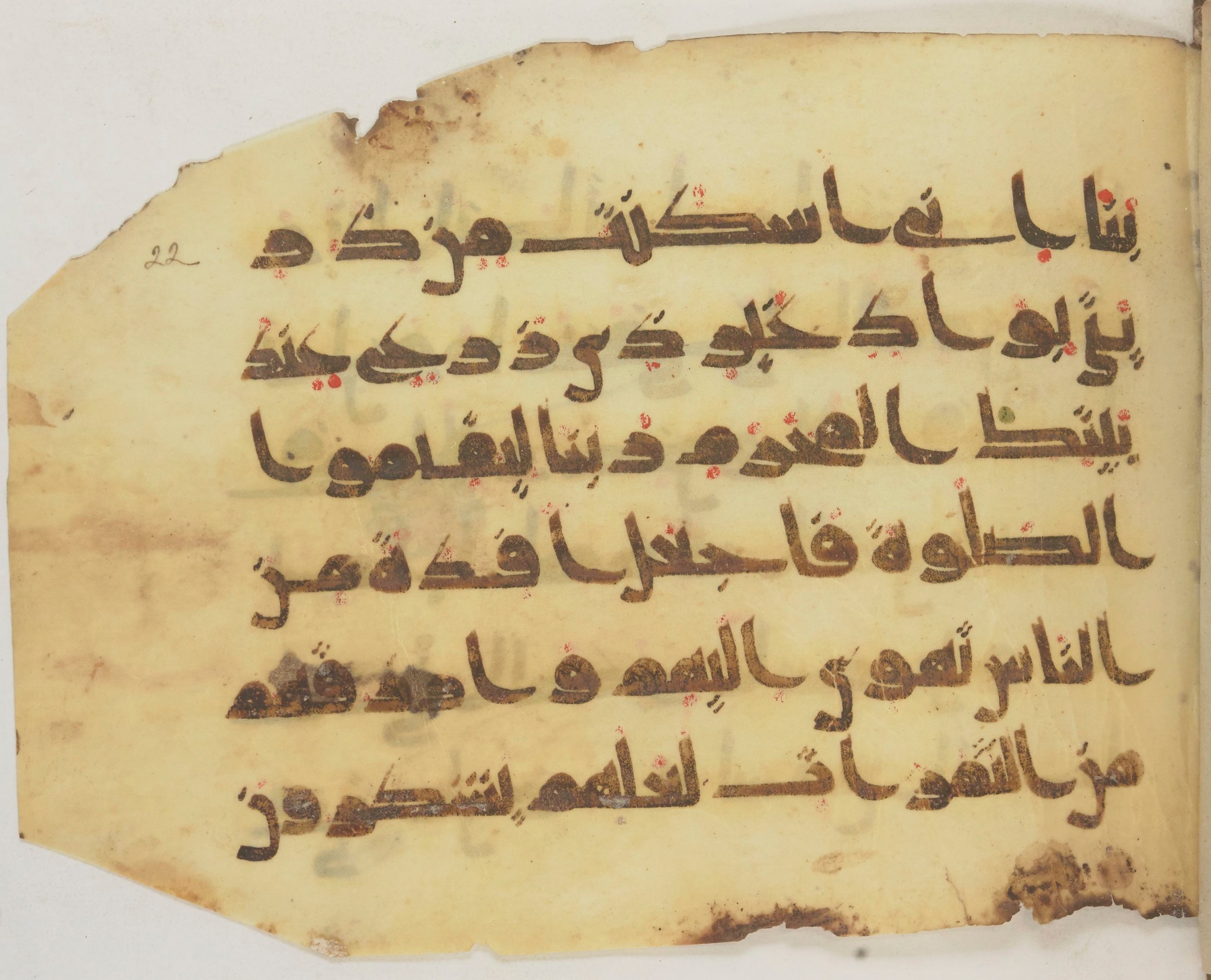 Paris, Bibliothèque nationale de France, Arabe 372, in kūfī (type D) script, showing Surah 14:37 from 9th Century AD found in Fustat (Old Cairo), Egypt, currently housed at Bibliothèque nationale de France, Paris