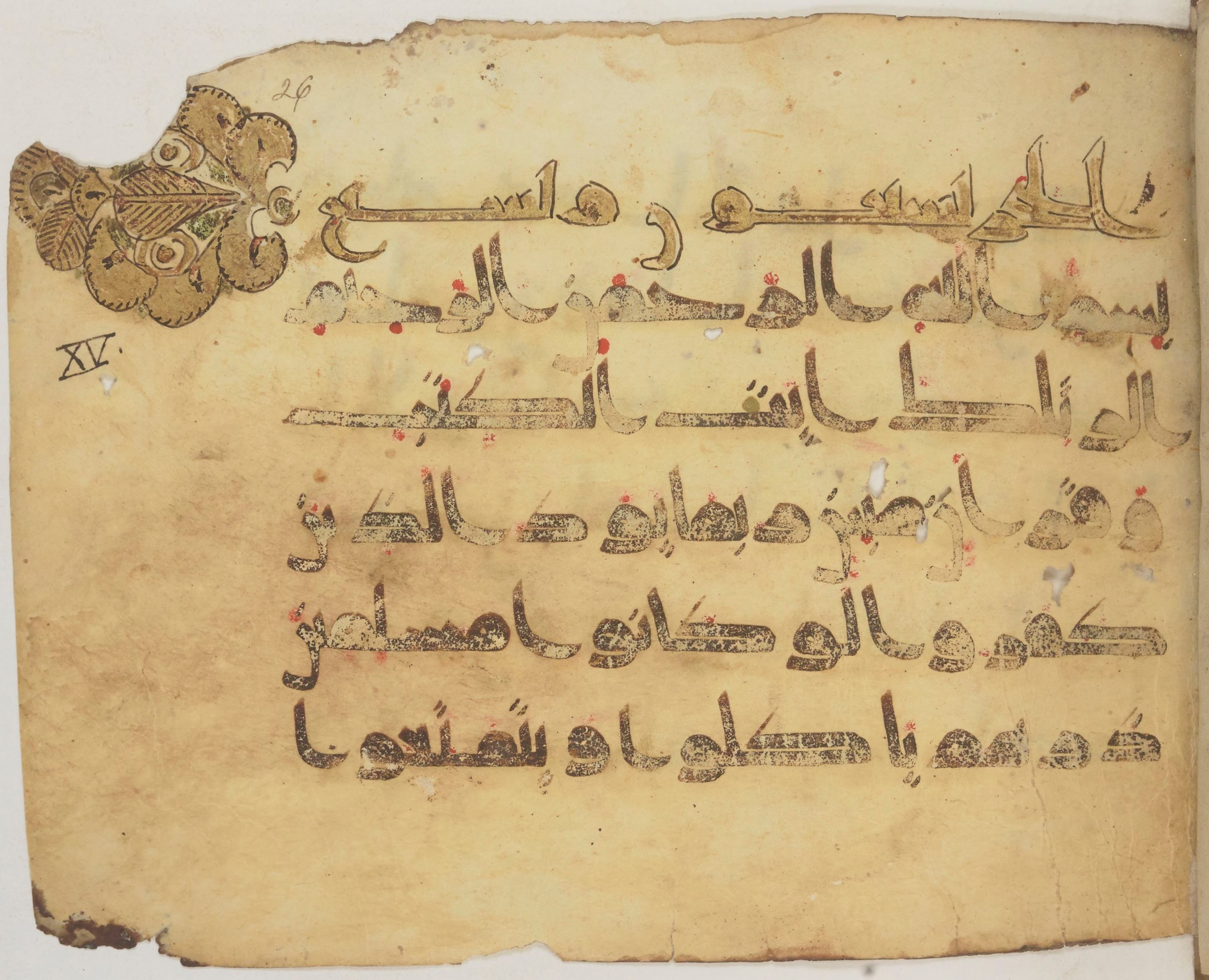Paris, Bibliothèque nationale de France, Arabe 372, in k