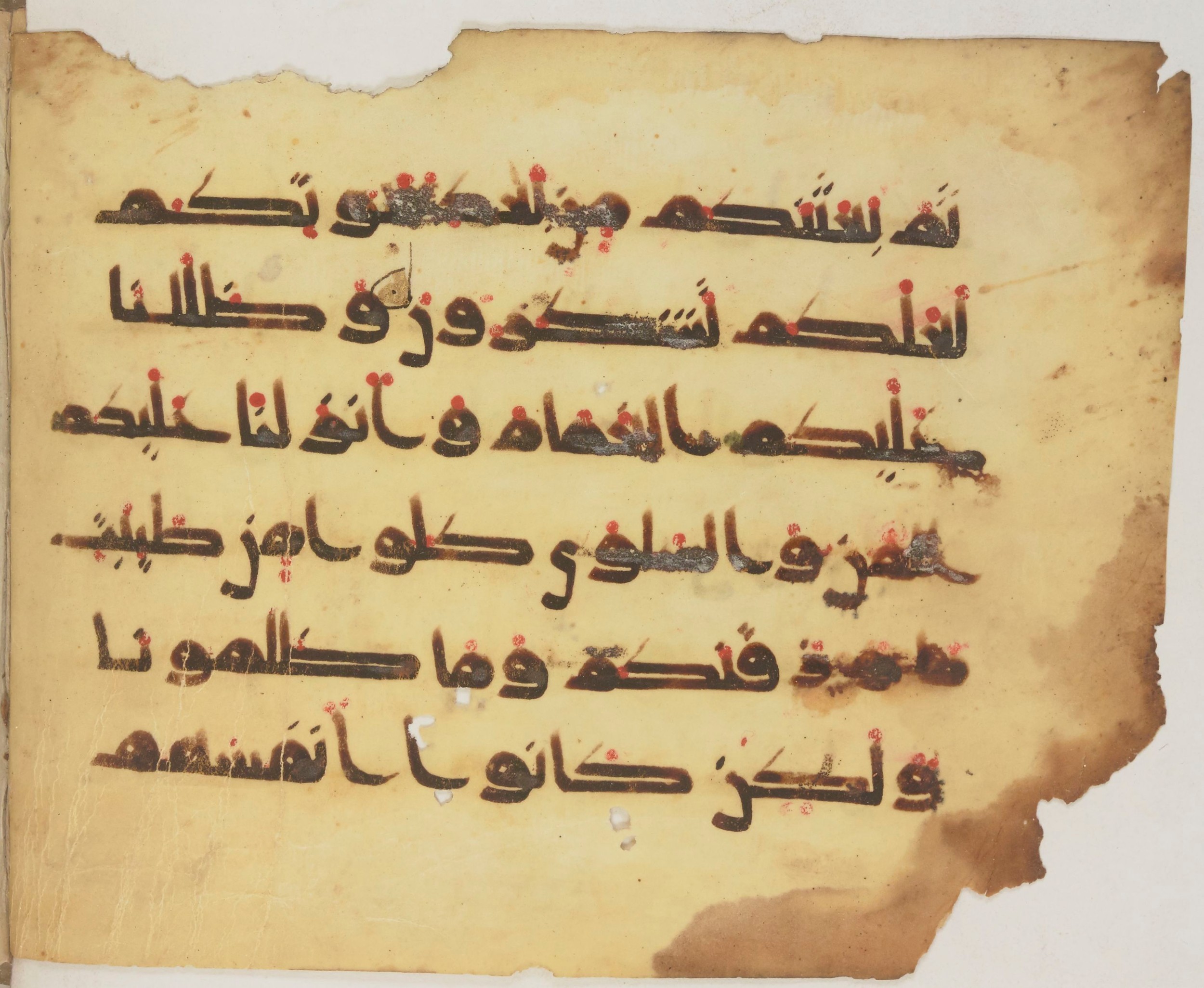 Paris, Bibliothèque nationale de France, Arabe 372, in kūfī (type D) script, showing Surah 2:56 from 9th Century AD found in Fustat (Old Cairo), Egypt, currently housed at Bibliothèque nationale de France, Paris