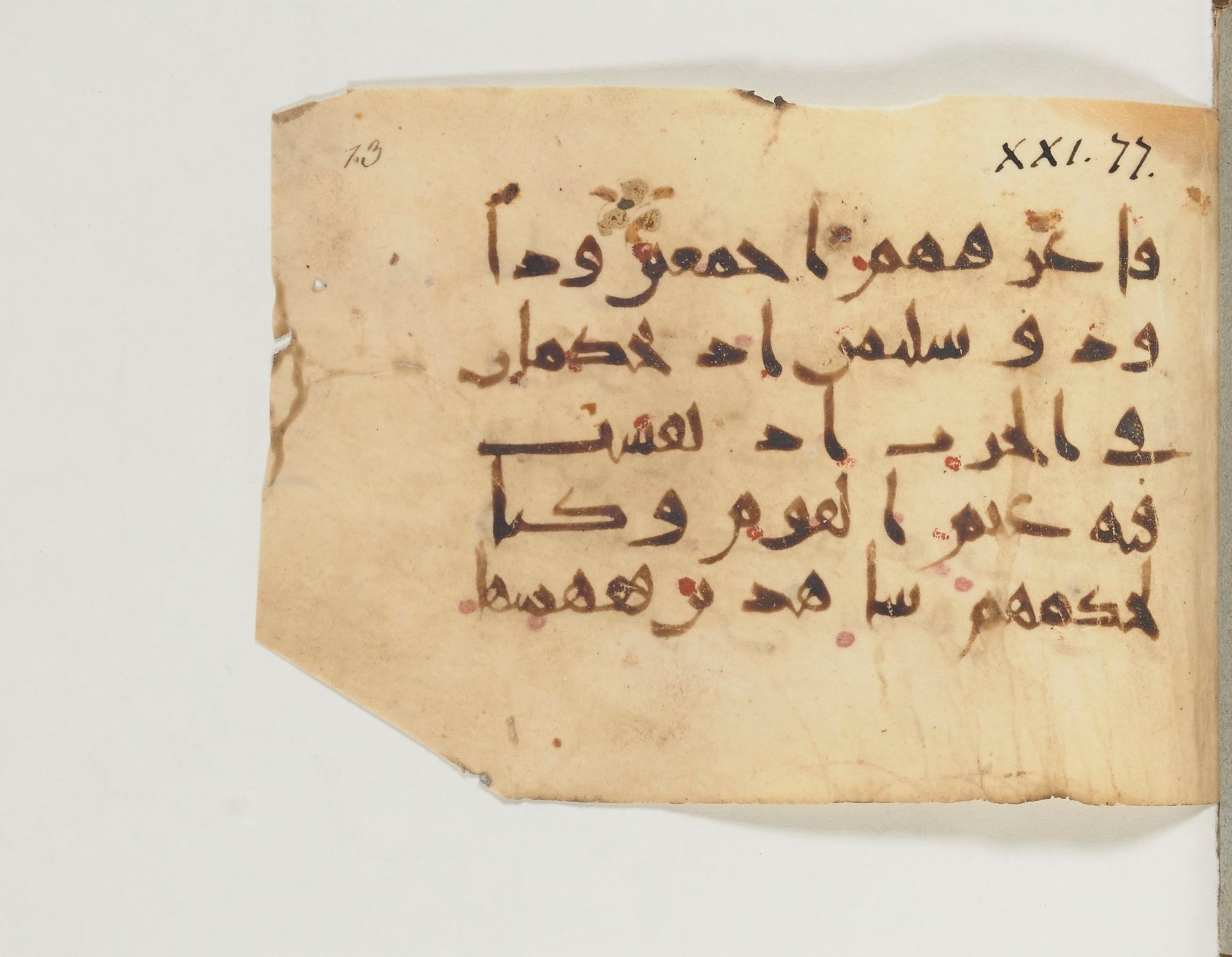 Paris, Bibliothèque nationale de France, Arabe 374 (b) (Scan 1), in New Style (type III) script, showing Surah 21:79 from Mid-9th to Late 10th Century AD found in Fustat (Old Cairo), Egypt, currently housed at Bibliothèque nationale de France, Paris