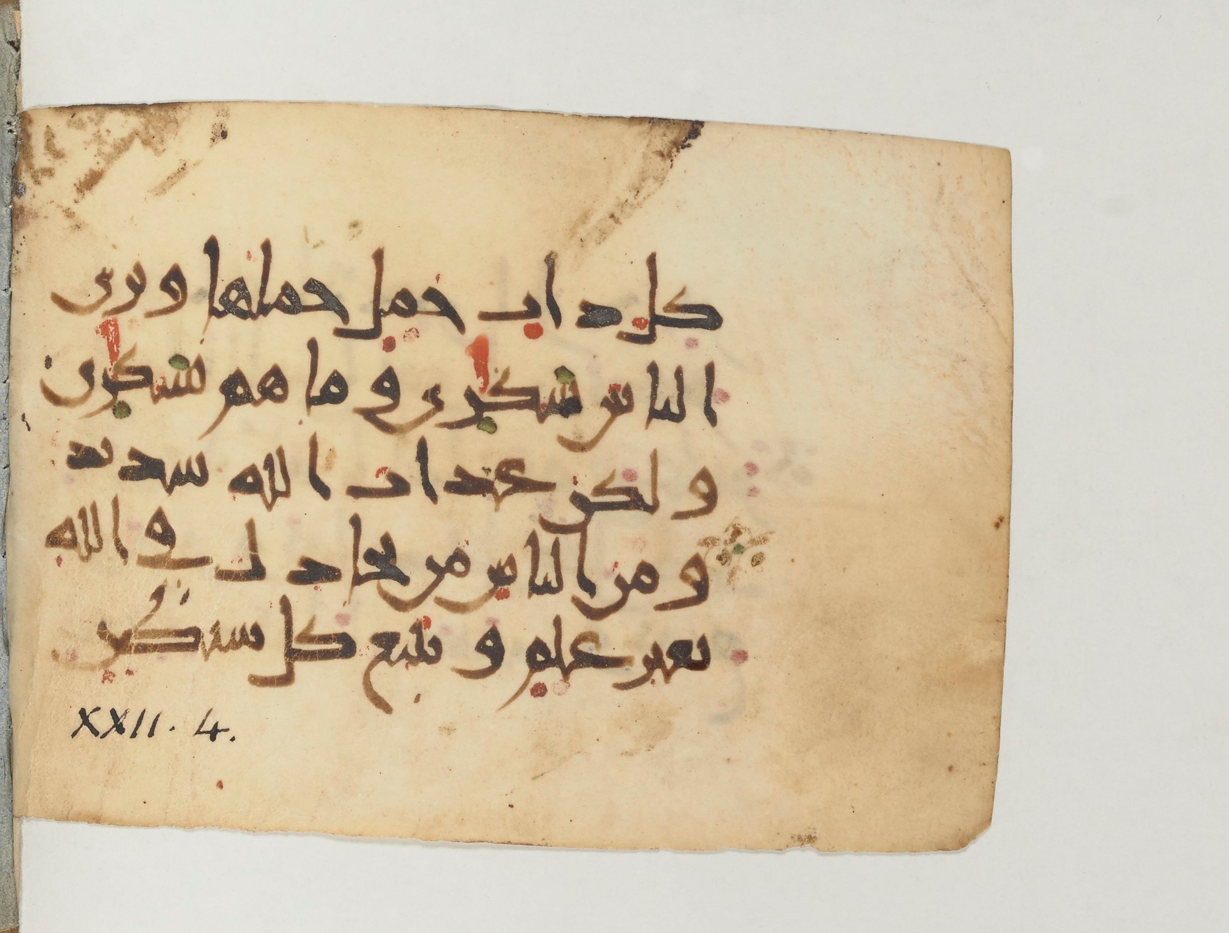 Paris, Bibliothèque nationale de France, Arabe 374 (b) (Scan 2), in New Style (type III) script, showing Surah 22:2 from Mid-9th to Late 10th Century AD found in Fustat (Old Cairo), Egypt, currently housed at Bibliothèque nationale de France, Paris