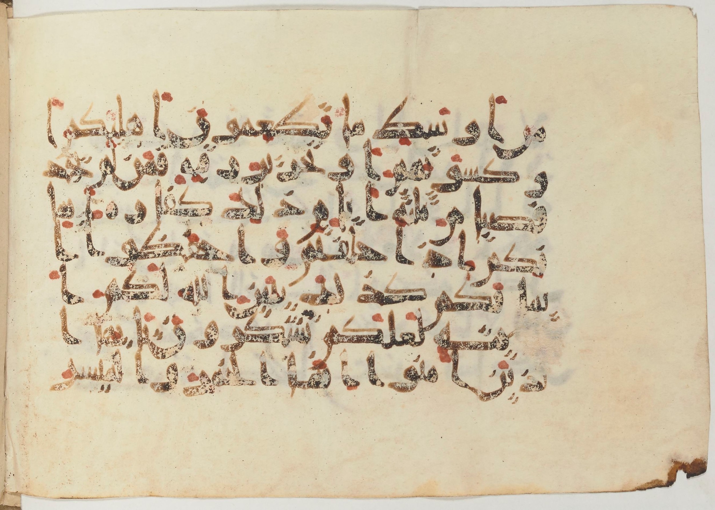 Paris, Bibliothèque nationale de France, Arabe 374 (c) (Scan 1), in New Style (type NS III) script, showing Surah 5:90 from Mid 9th to Late 10th Century AD found in Fustat (Old Cairo), Egypt, currently housed at Bibliothèque nationale de France, Paris