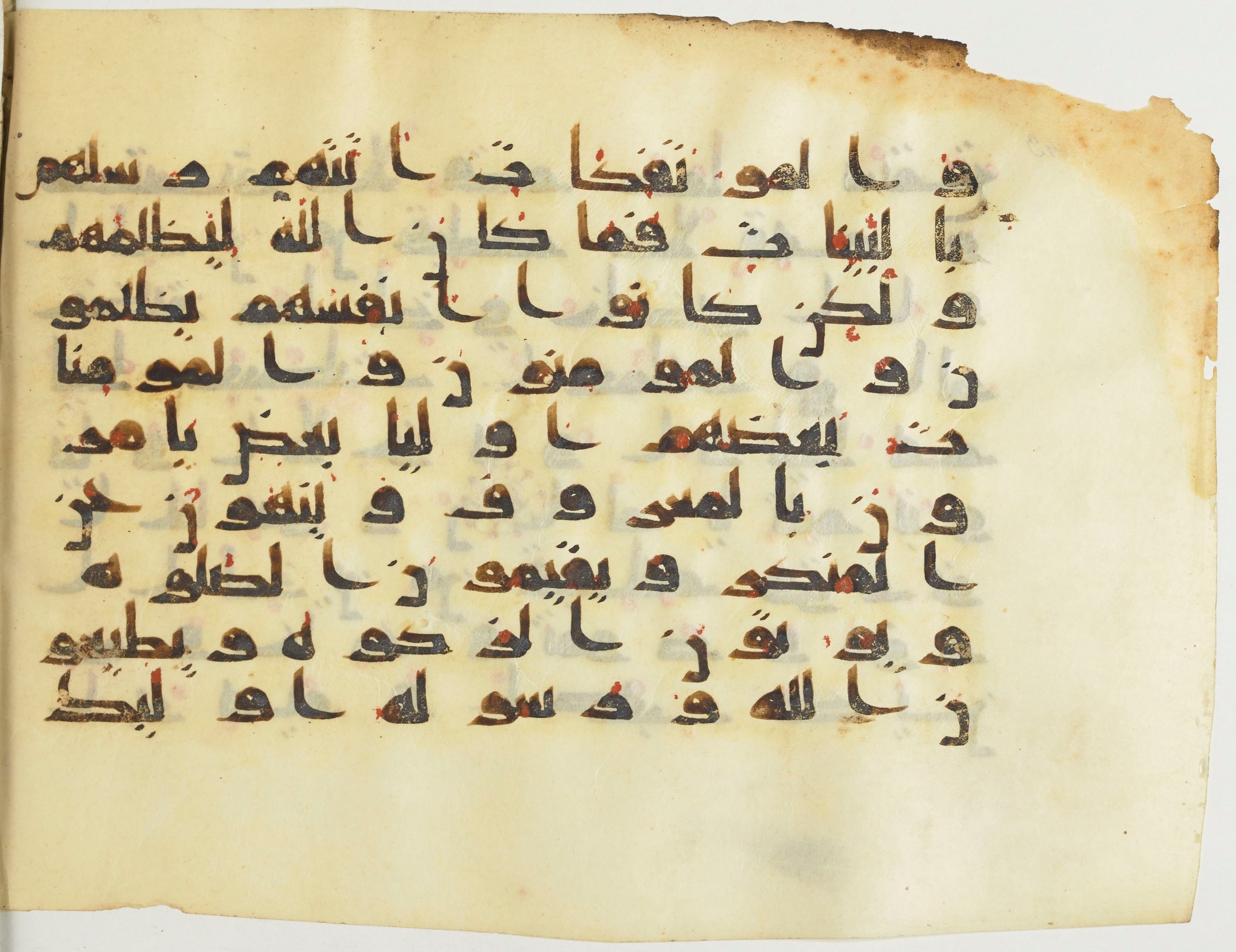 BnF Arabe 376 (a) (Scan 1), in Kufic D.I script, showing Surah 9:71 from Mid 8th to Late 9th Century AD found in Fustat (Old Cairo), Egypt, currently housed at Bibliothèque nationale de France, Paris