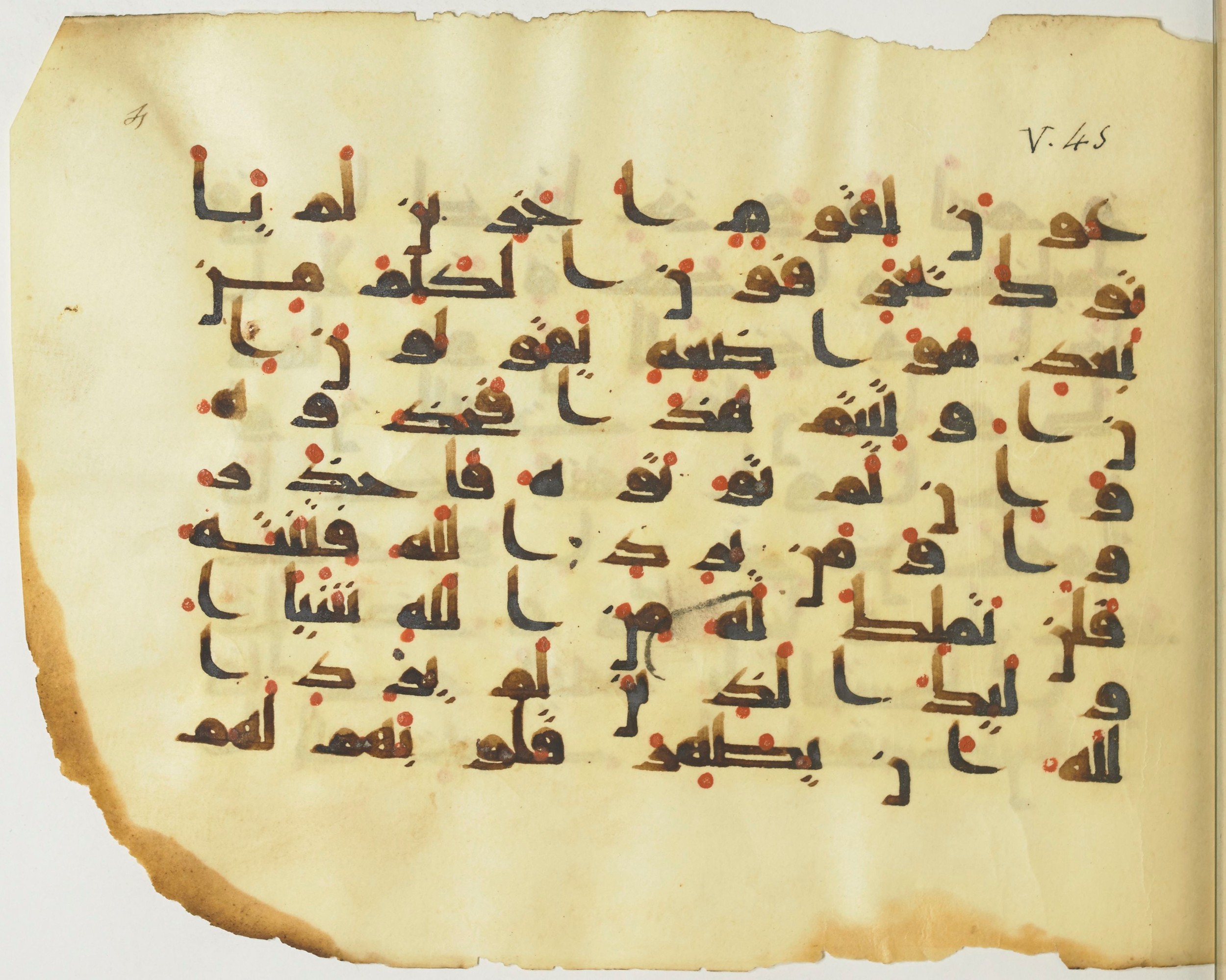 BnF Arabe 376 (a) (Scan 2), in Kufic D.I script, showing Surah 5:41 from Mid 8th to Late 9th Century AD found in Fustat (Old Cairo), Egypt, currently housed at Bibliothèque nationale de France, Paris