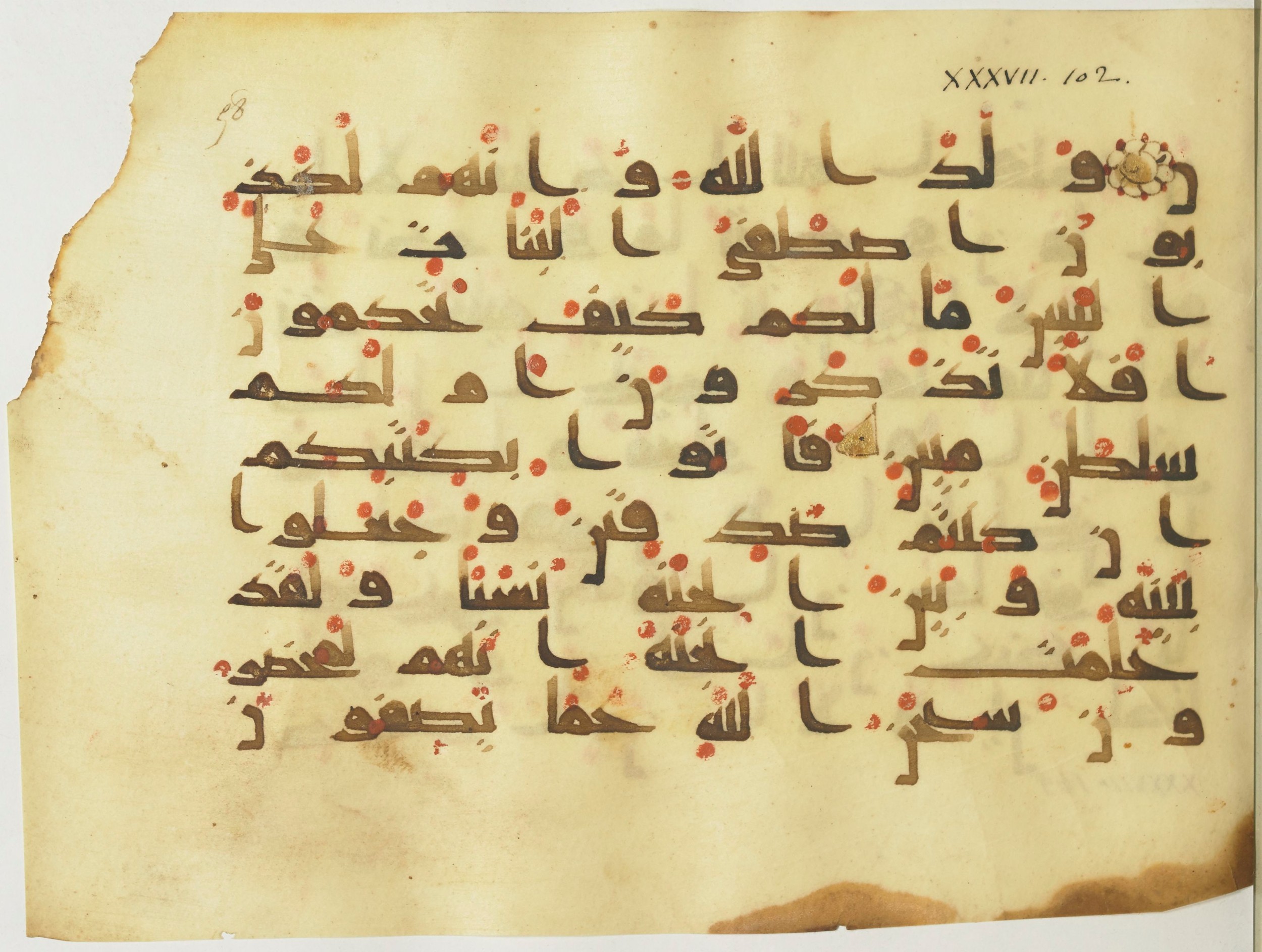 BnF Arabe 376 (a), in Kufic D.I script, showing Surah 37:151 from Mid 8th to Late 9th Century AD found in Fustat (Old Cairo), Egypt, currently housed at Bibliothèque nationale de France, Paris